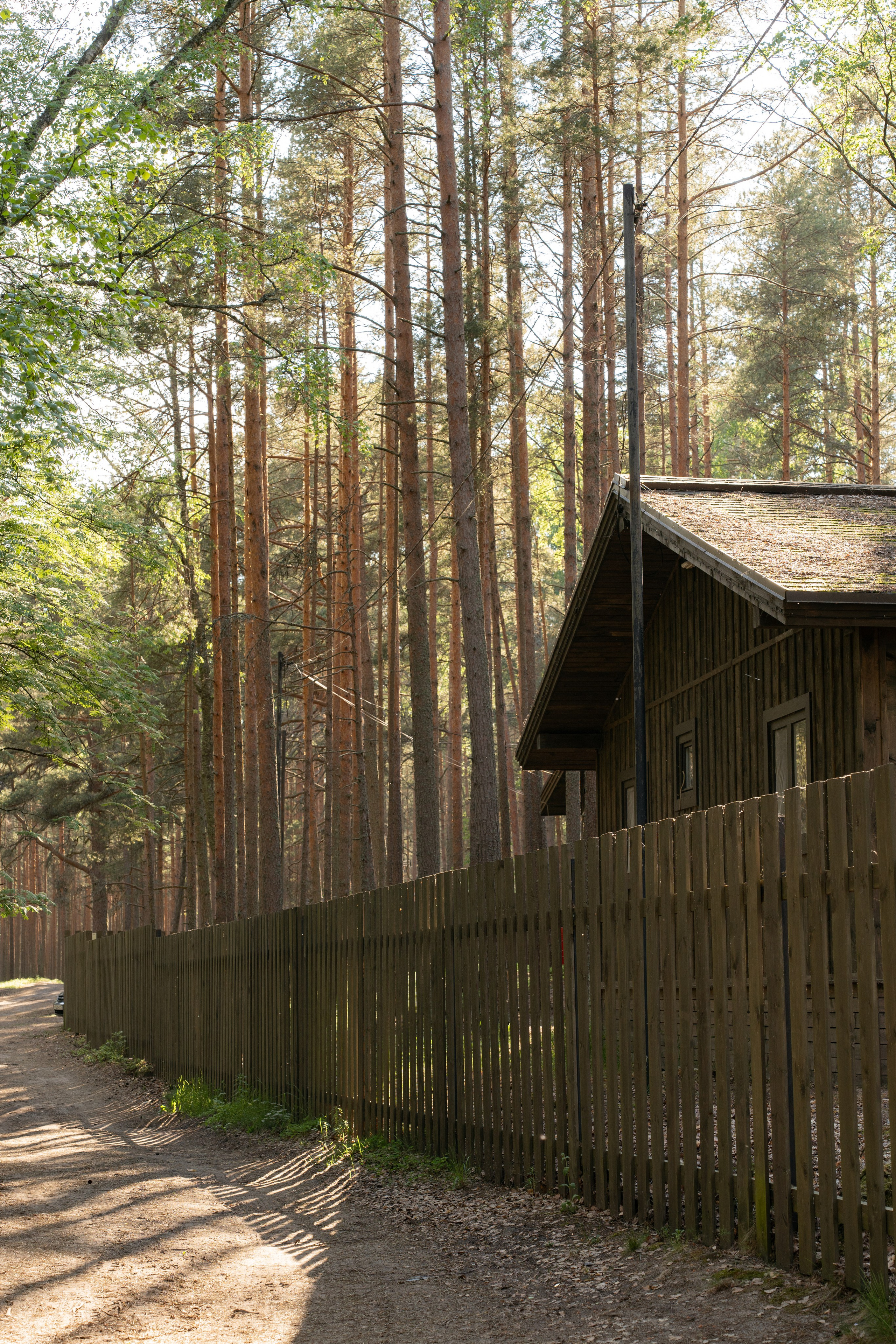 Янтарный берег. Фотограф Инесса Фокина