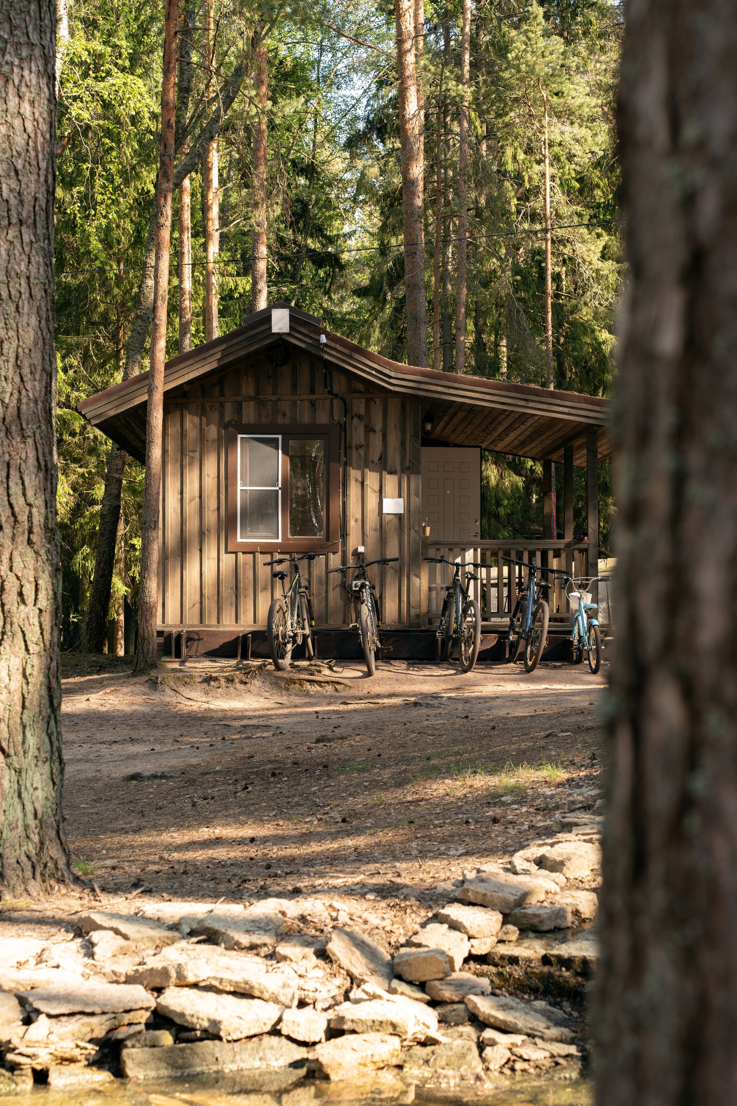 Янтарный берег. Фотограф Инесса Фокина