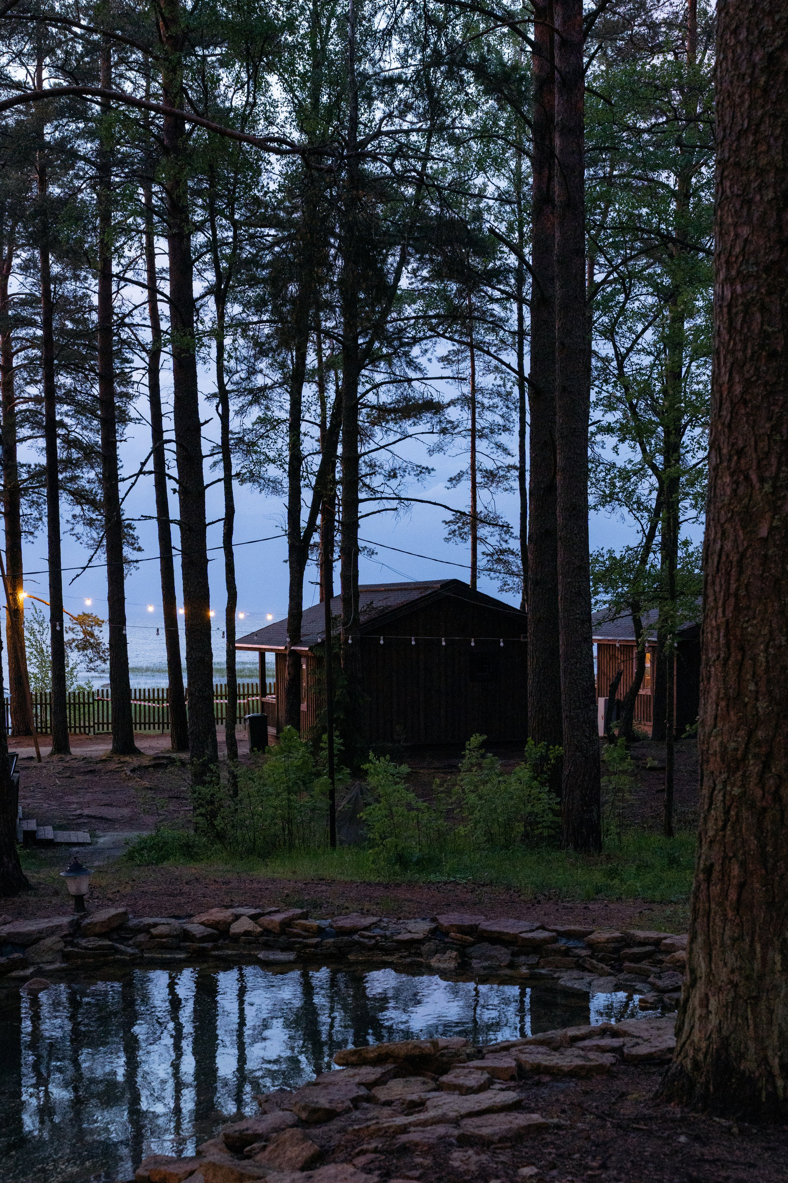 Янтарный берег. Фотограф Инесса Фокина