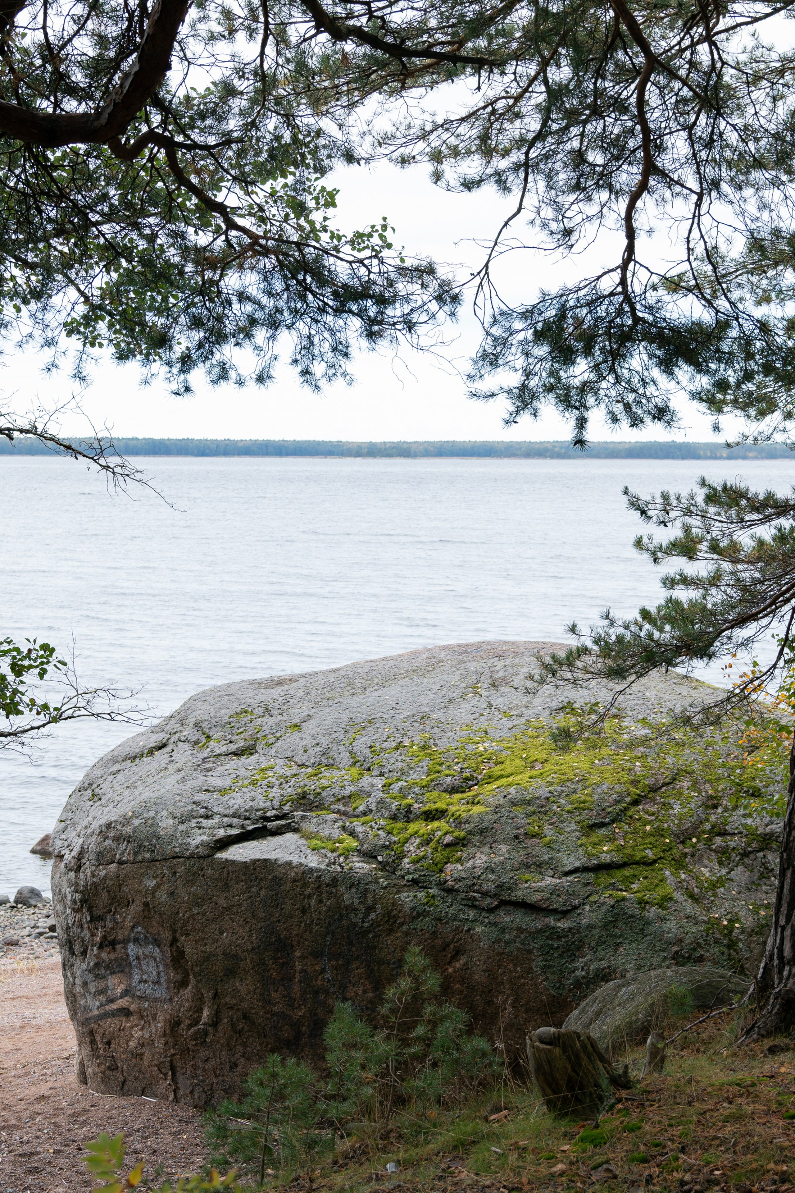Бьерк. Фотограф Инесса Фокина