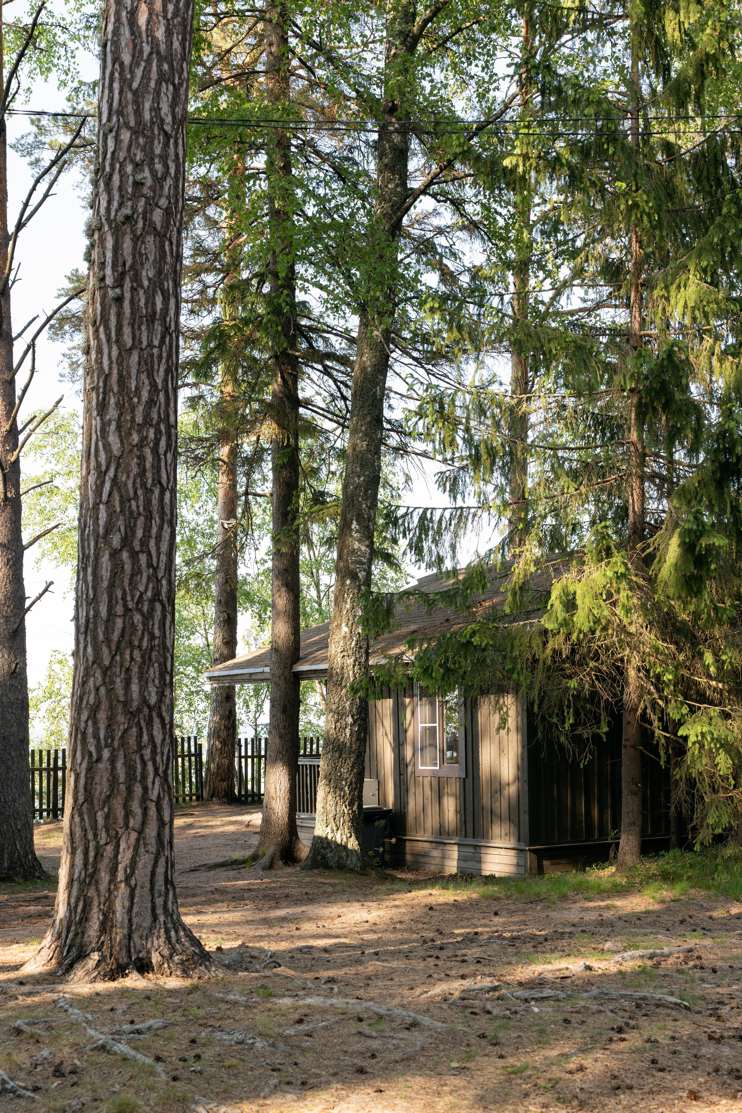 Янтарный берег. Фотограф Инесса Фокина