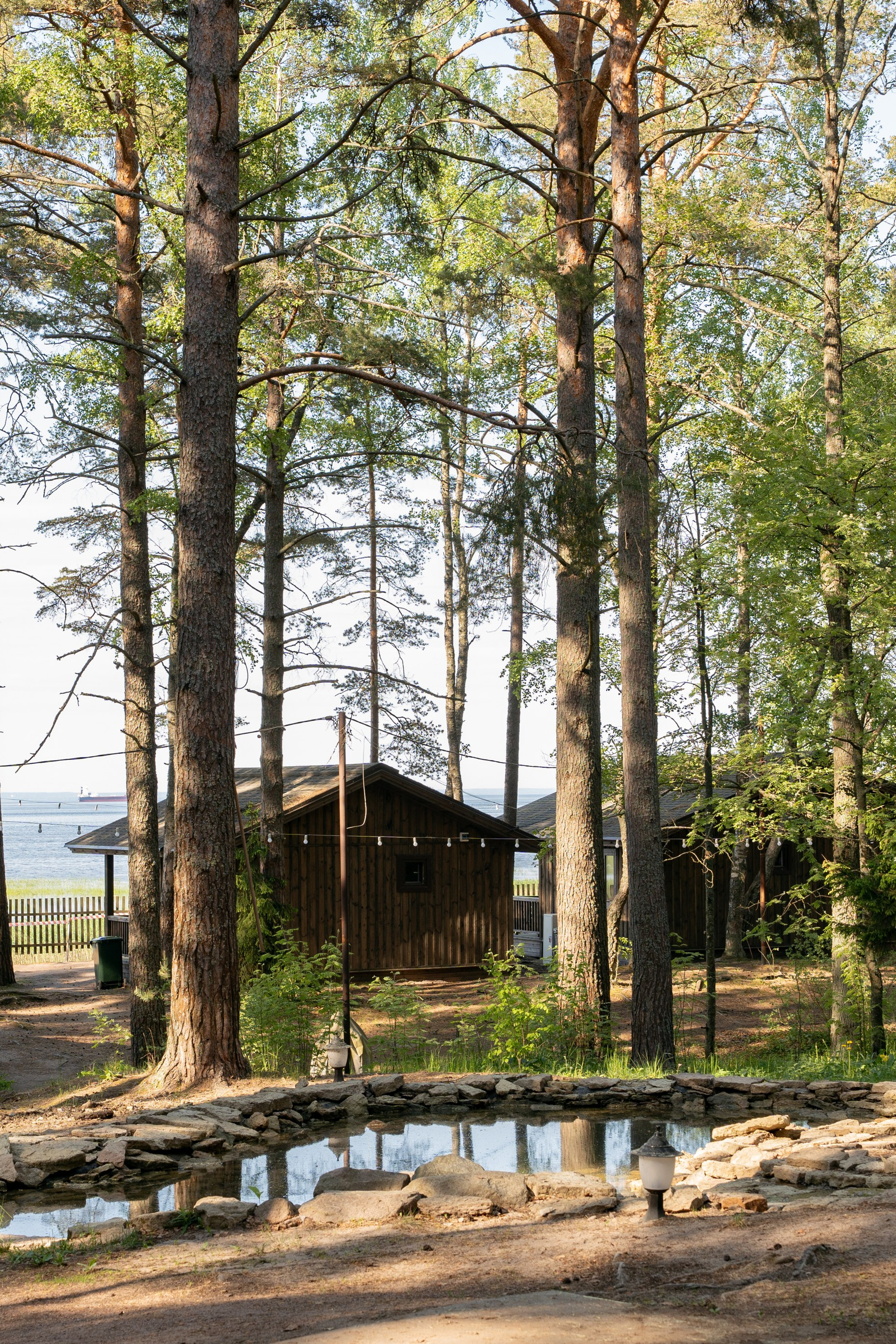 Янтарный берег. Фотограф Инесса Фокина