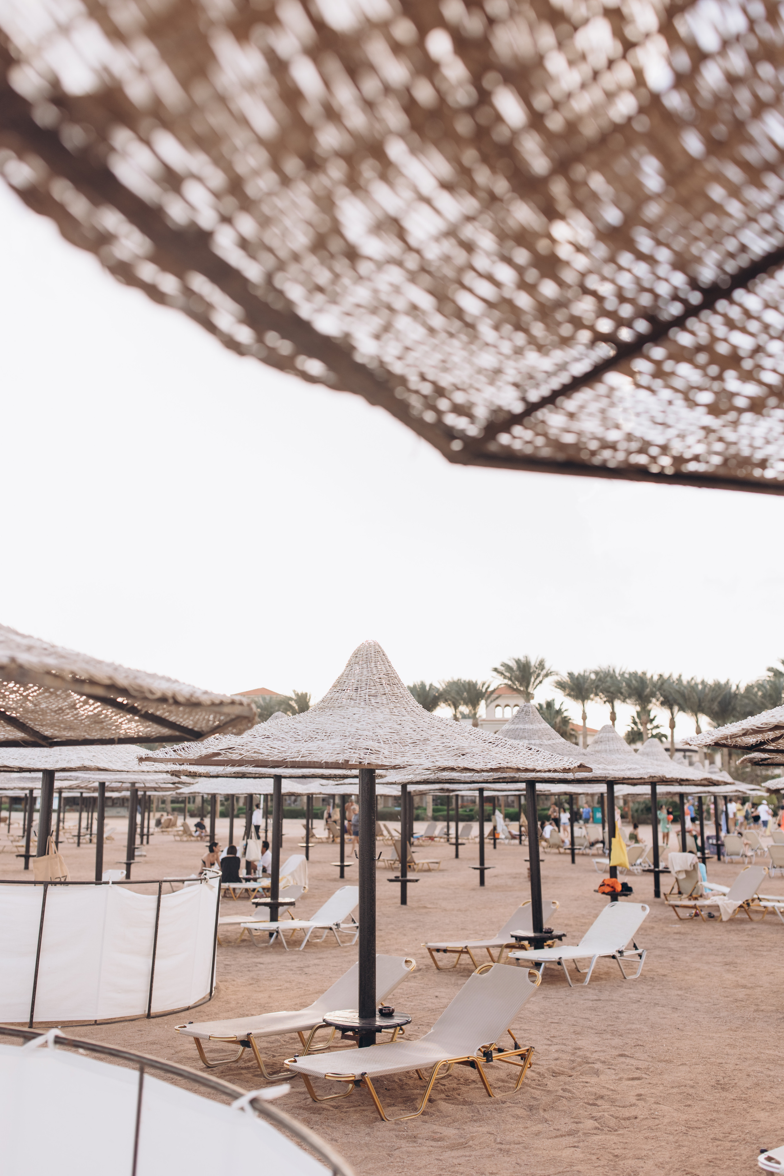 Отзывы. Фотограф Королева Елена в Москве