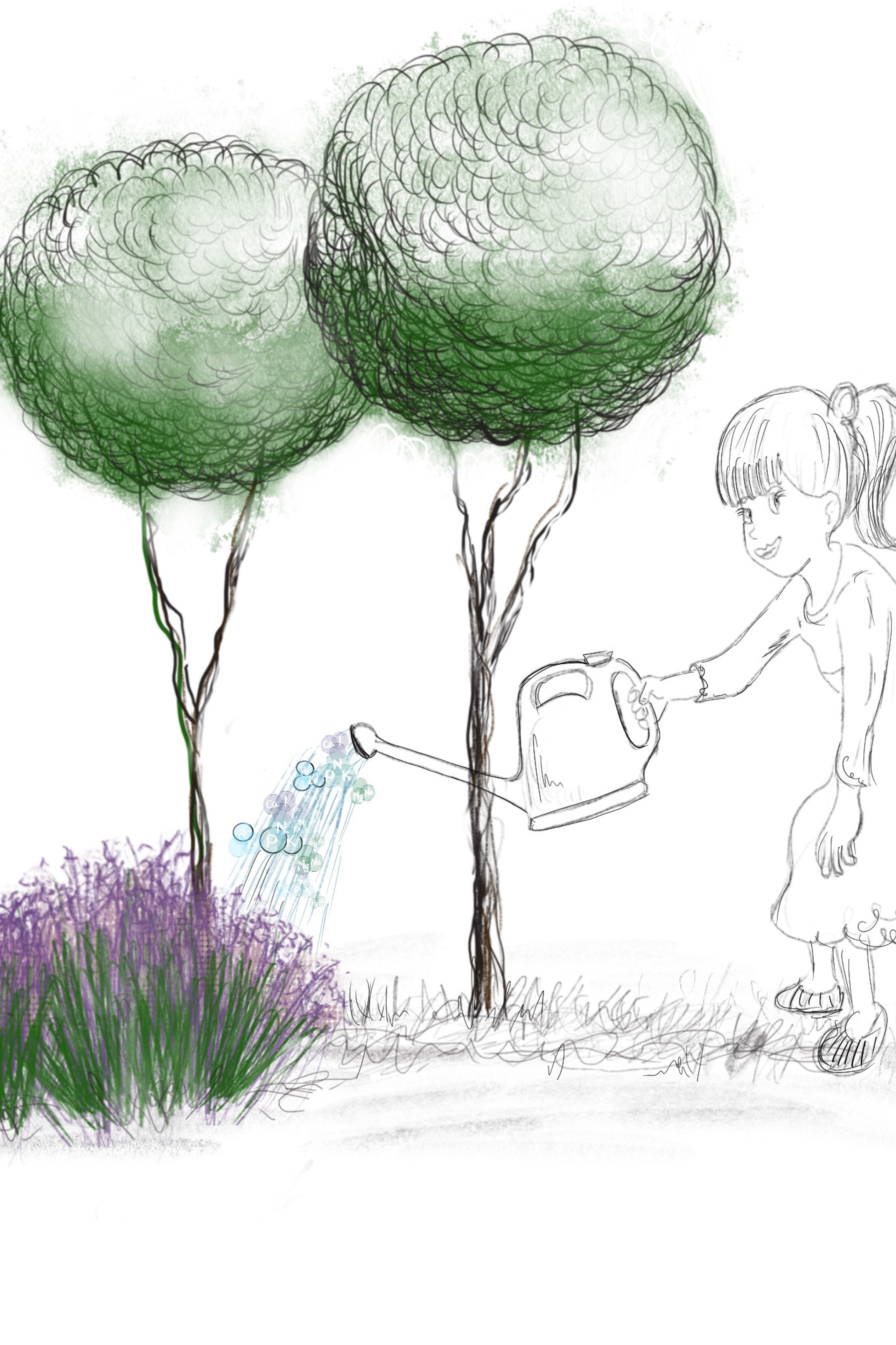 Блог о загородной жизни. Студия ландшафтного дизайна в Москве. Love My Garden