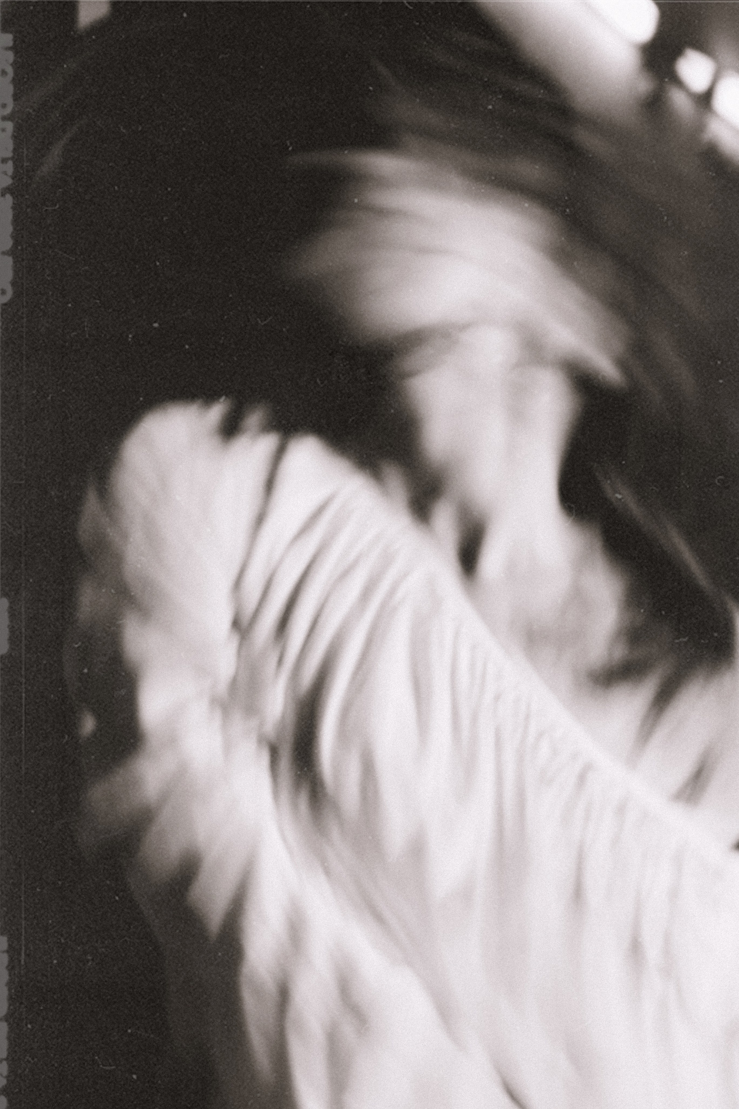 ANASTASIA 2024 étude