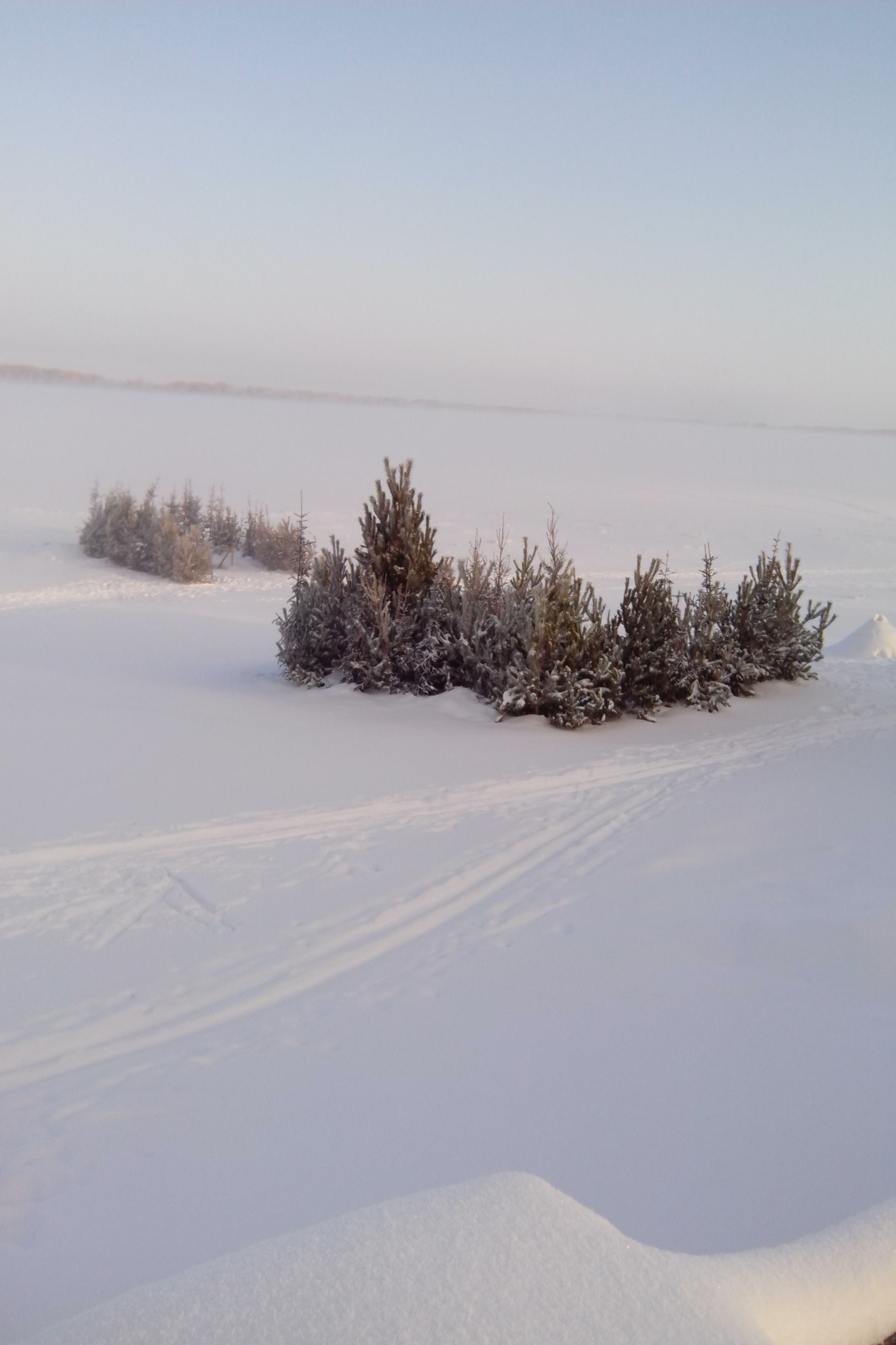 И. Бунин. Matryoshka64