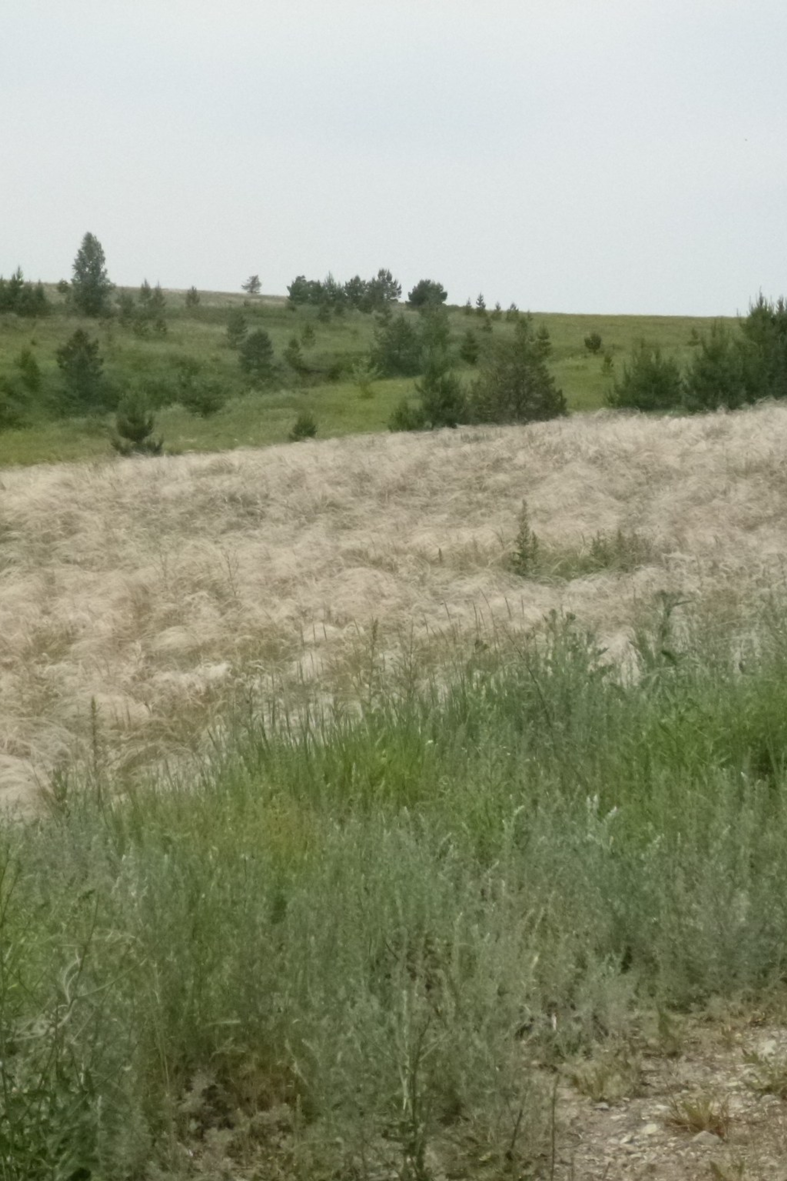 Обучение в стихотворении. Matryoshka64