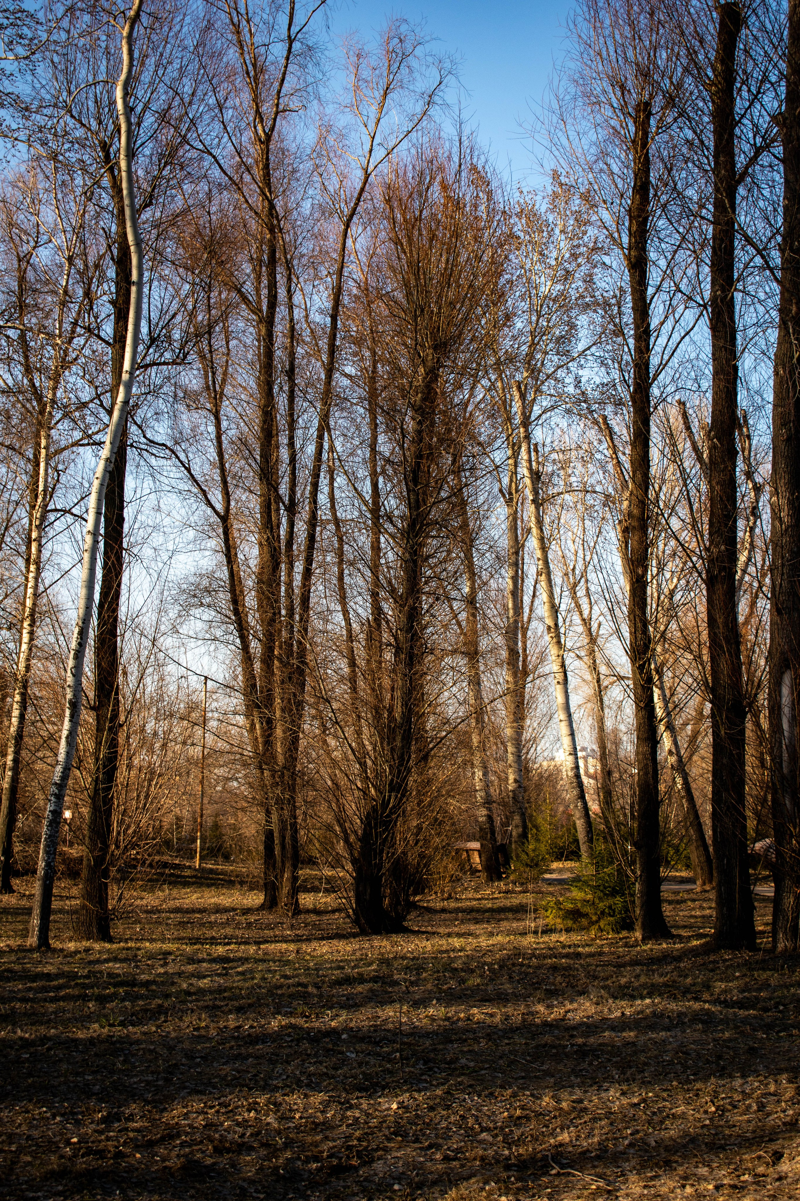 прогулка по городу Казань