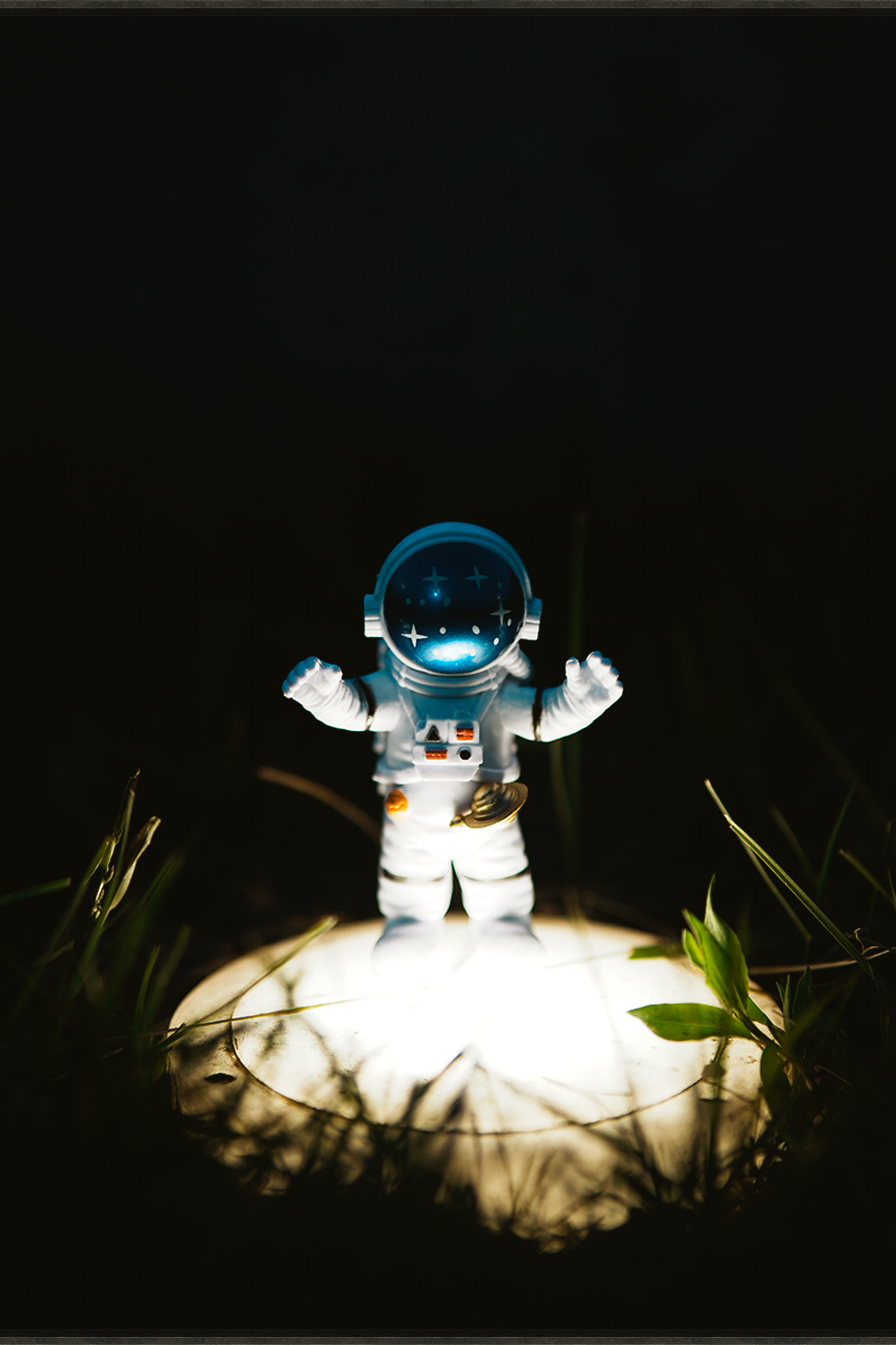 Гибронавты