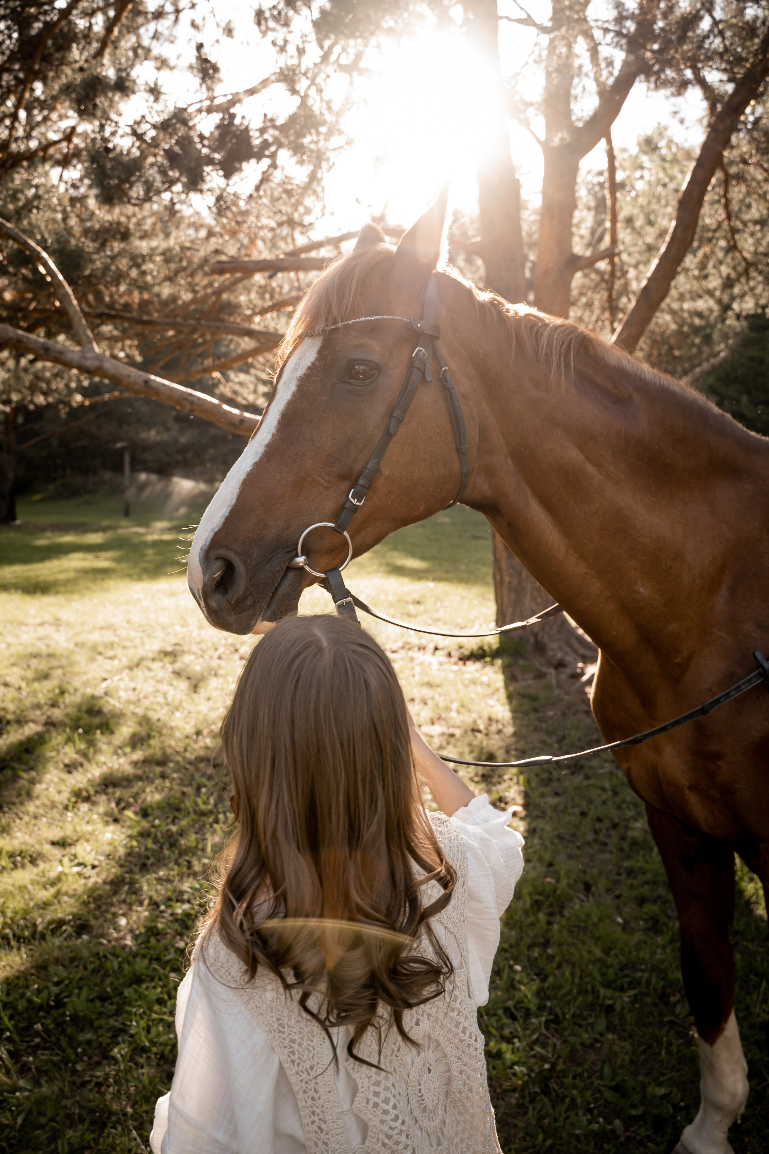 Семейная история с лошадьми