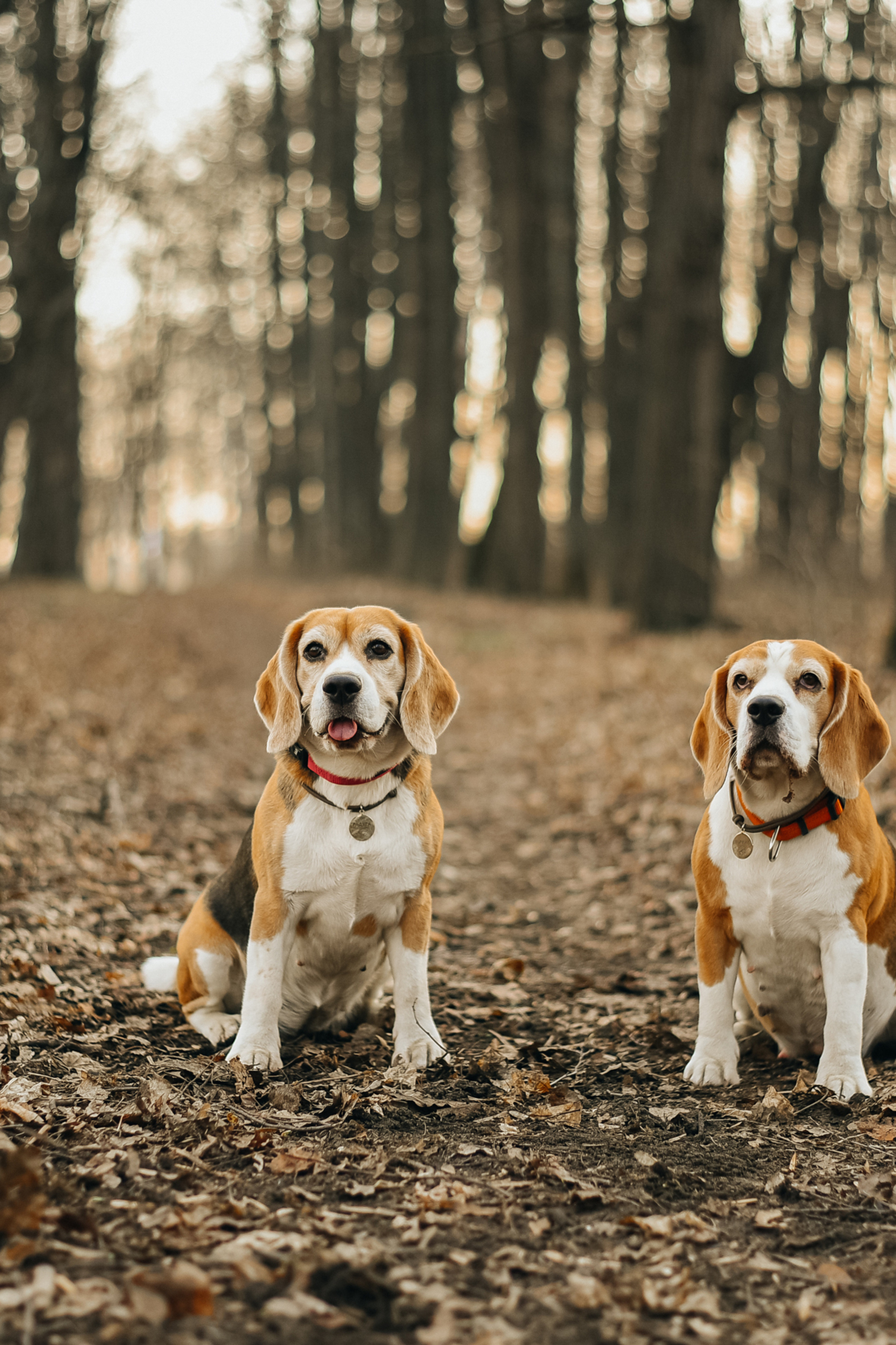 Блог. Фотограф Москва