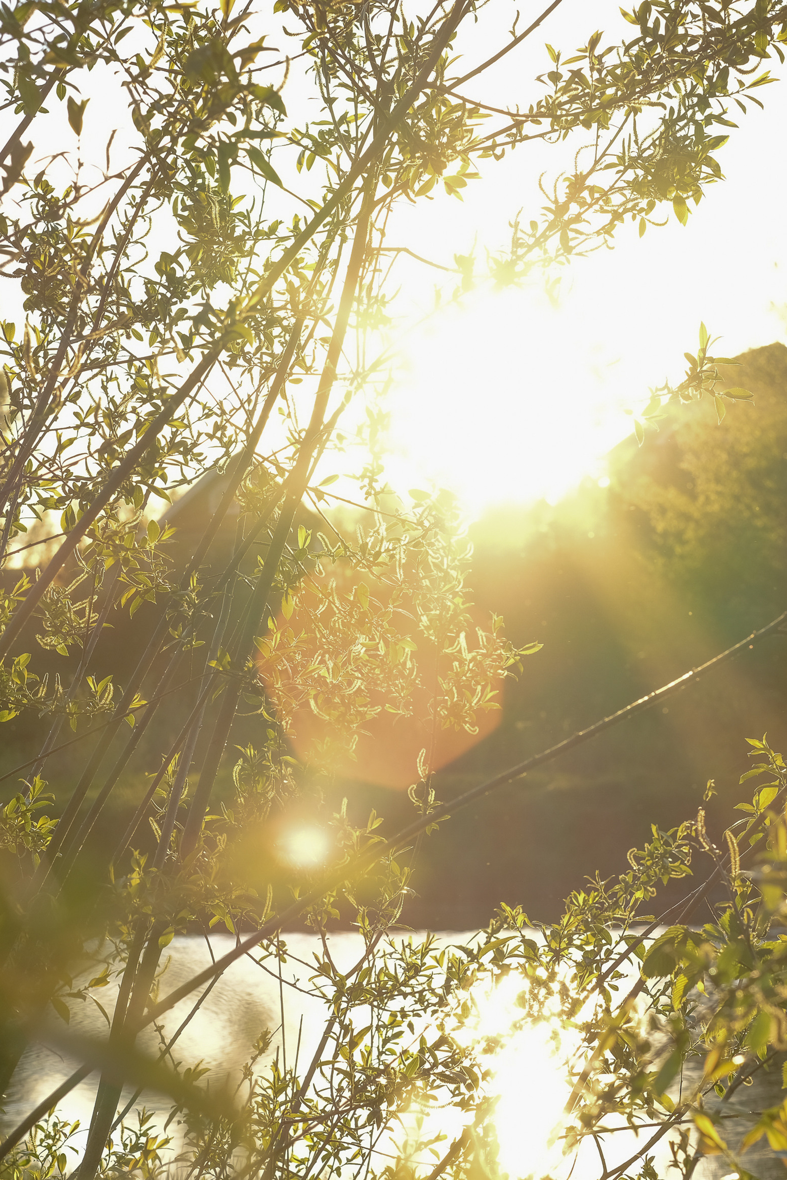 Отзывы. Фотограф в Москве Ирина Иванова