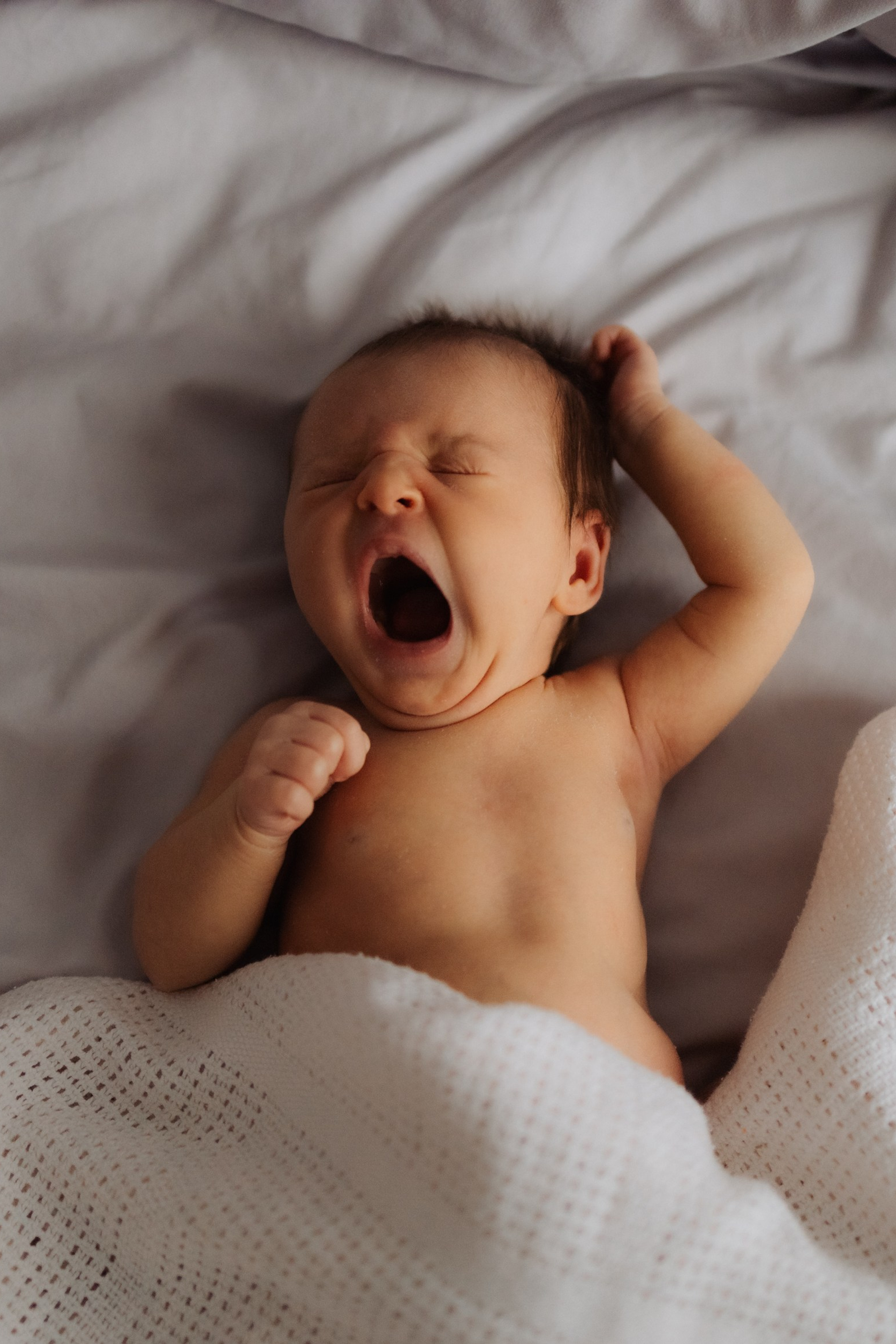 НЬБОРН Мария