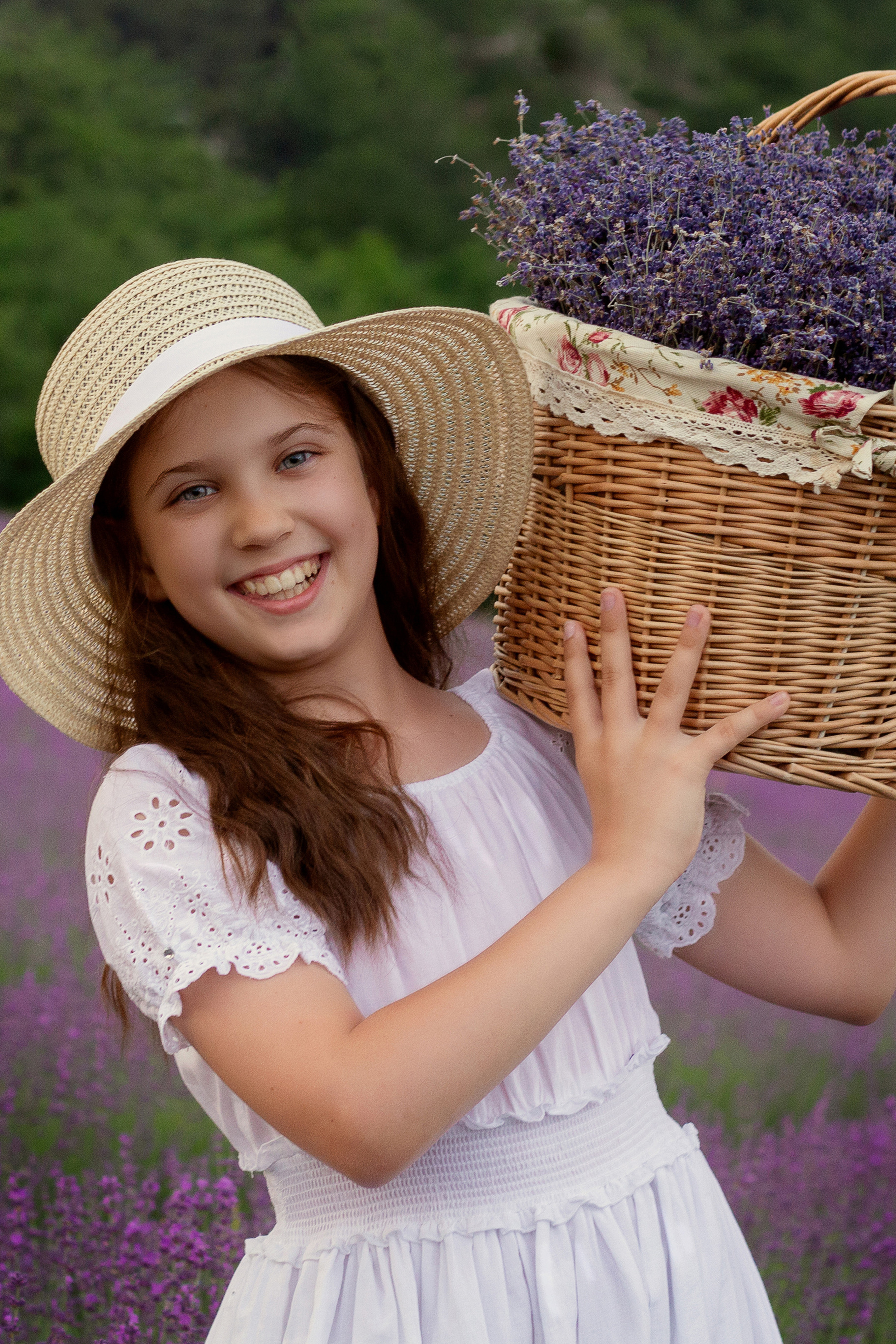 Маргаритка, лавандовая история