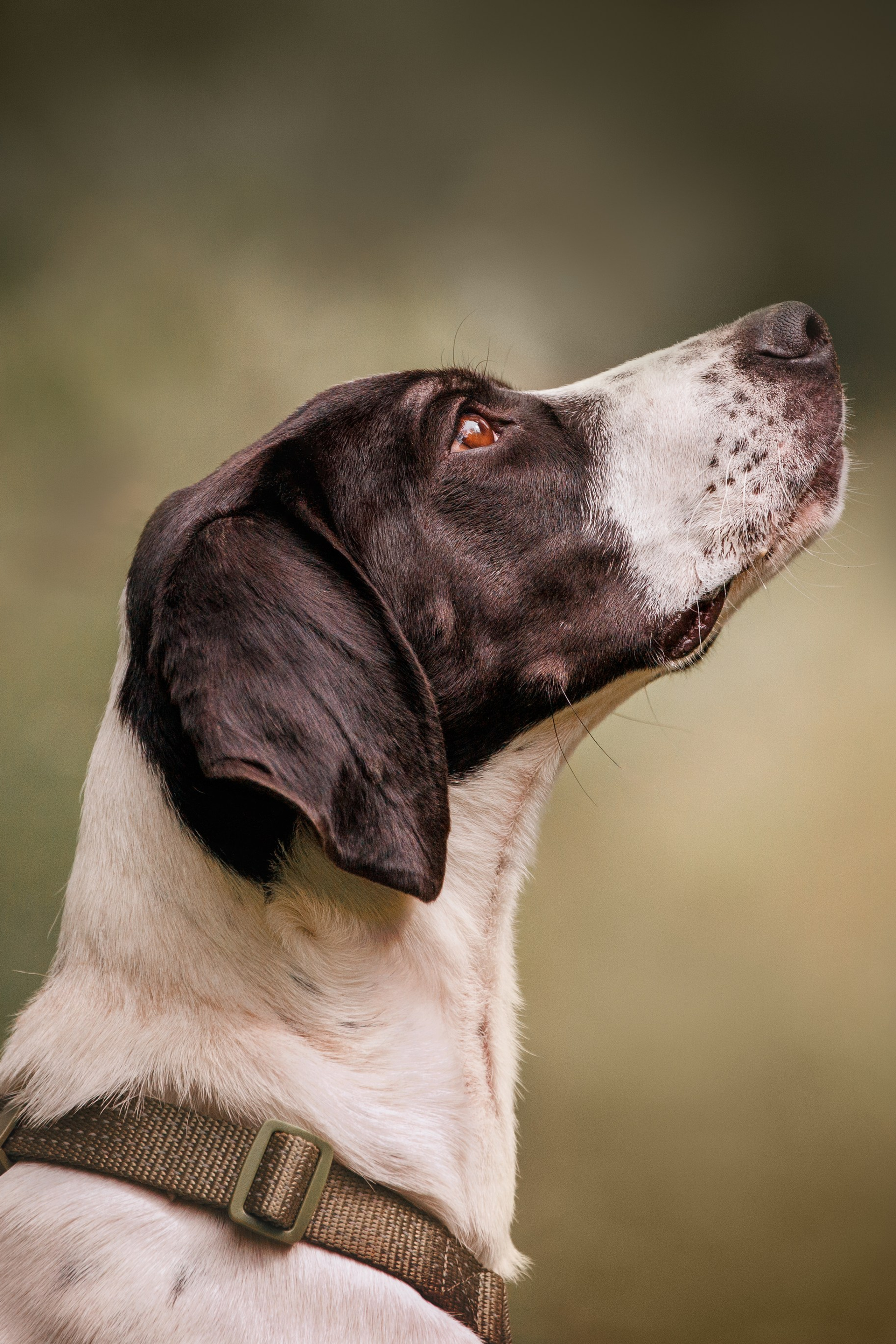 Новости. Irenephoto.ru