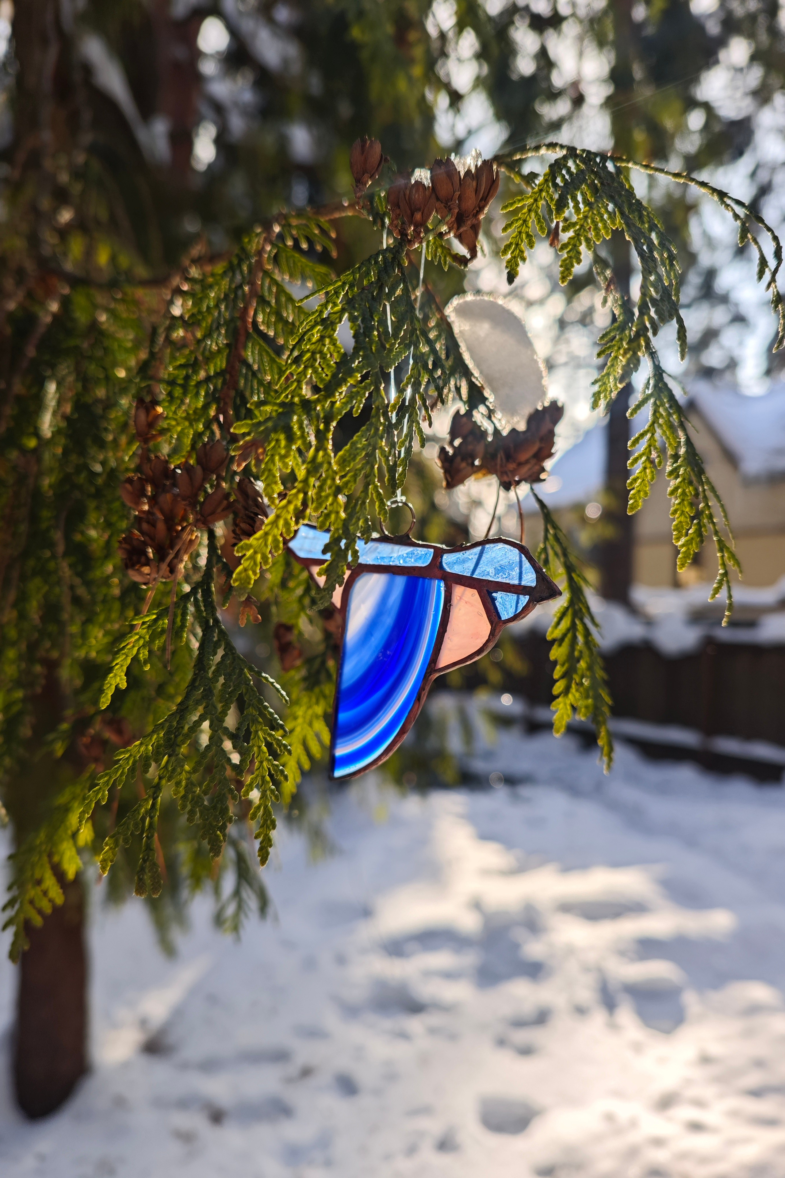 НОВОСТИ. Художник Перепеченова-Феофанова Анна