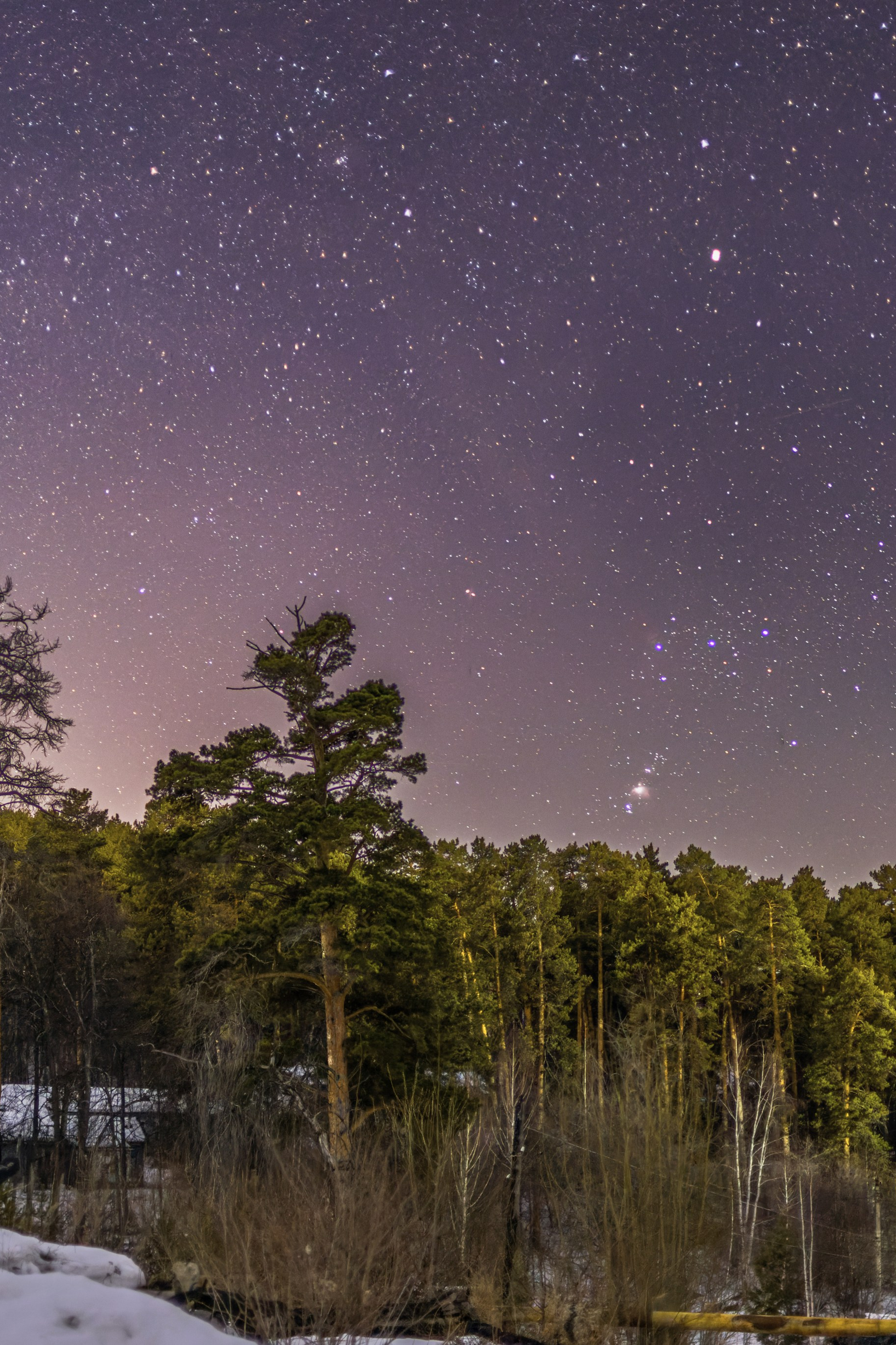 Анонсы. Фотограф Леонид Мартенс