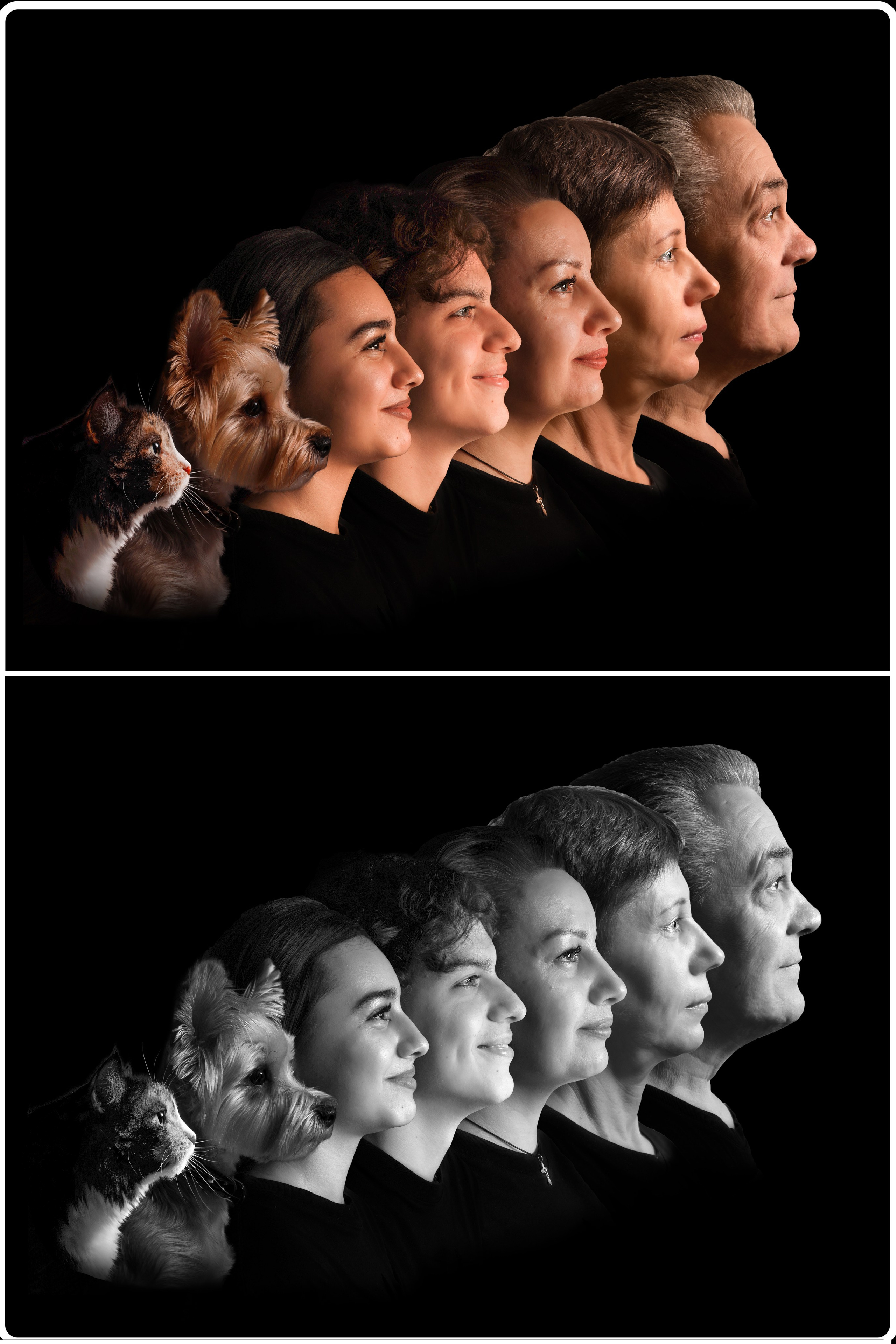 Портрет поколений