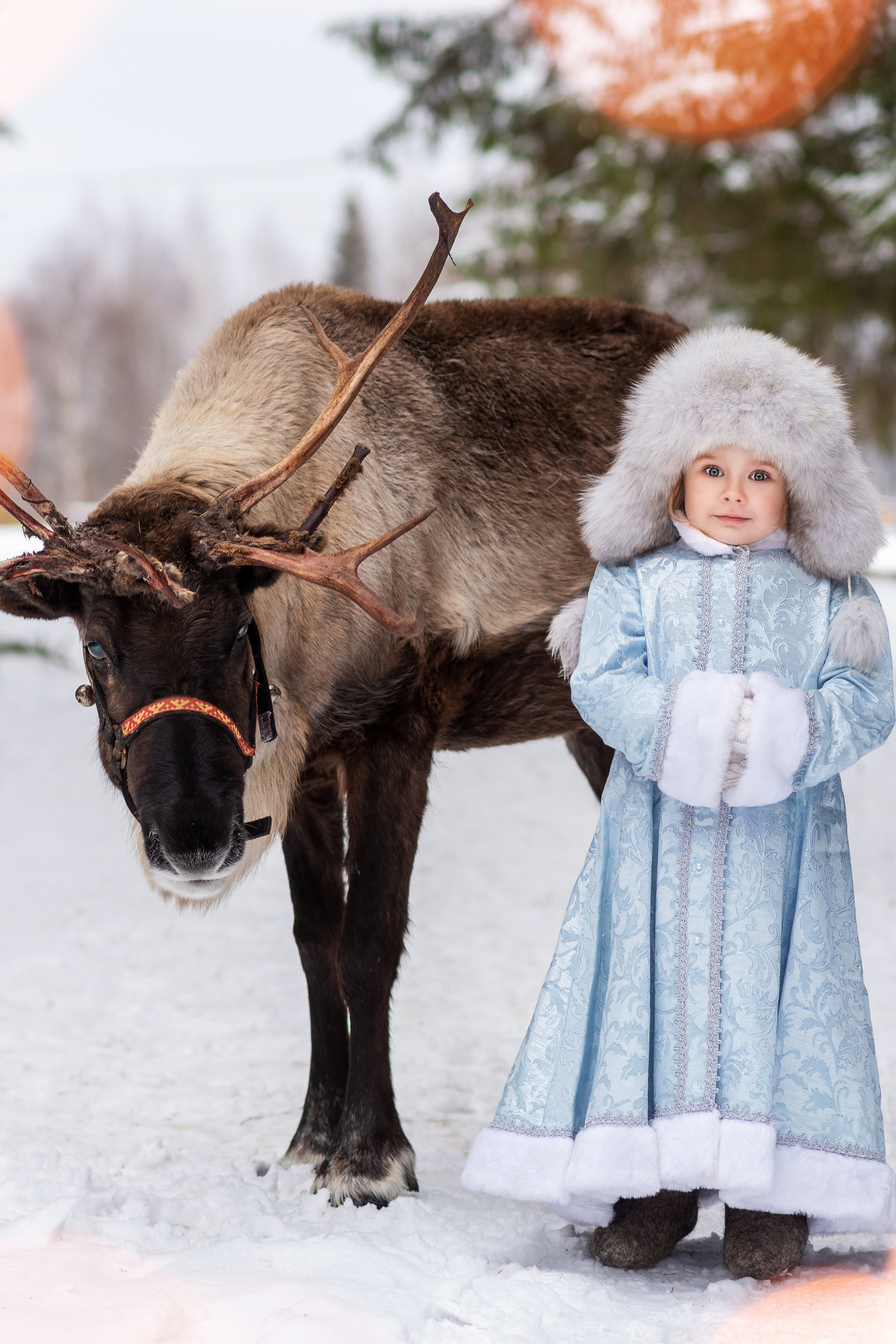 Аленка с коляской. Катя Барбус Фотограф Пермь
