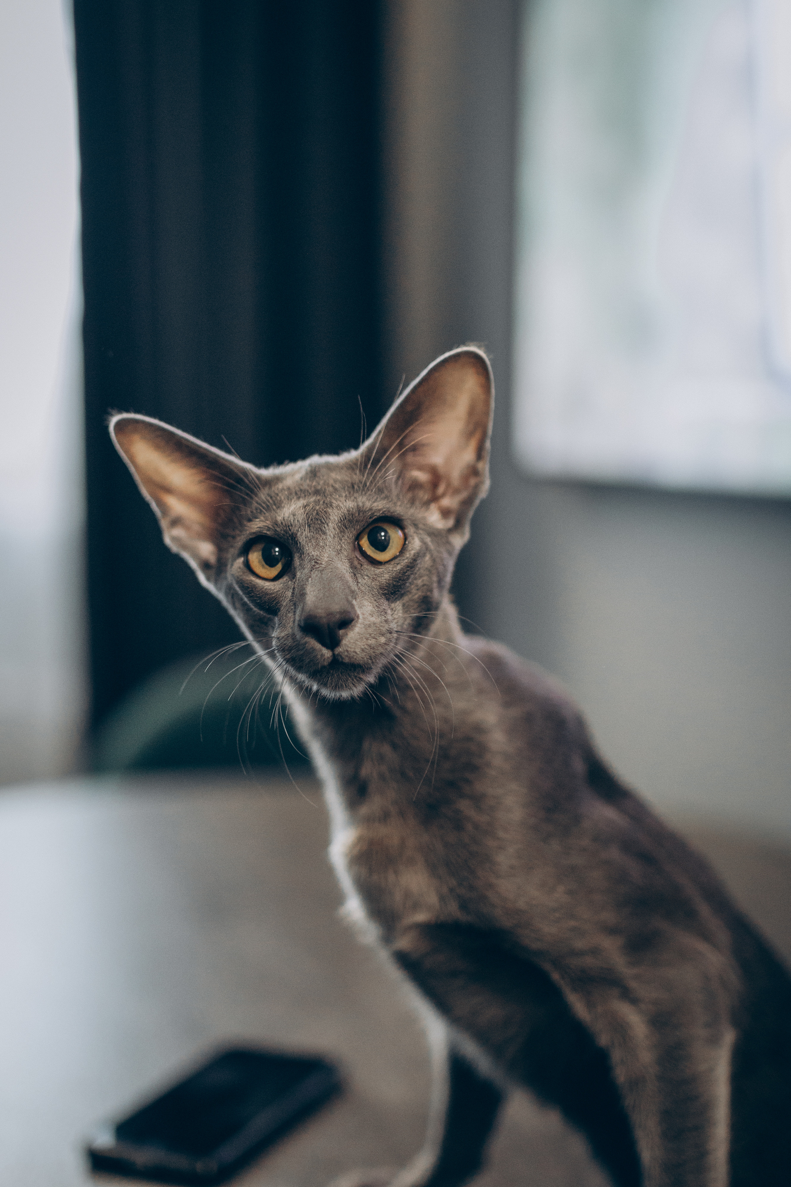 Newborn. Семейный фотограф и фотограф на роды в Ростове-на-Дону Мухина Виктория