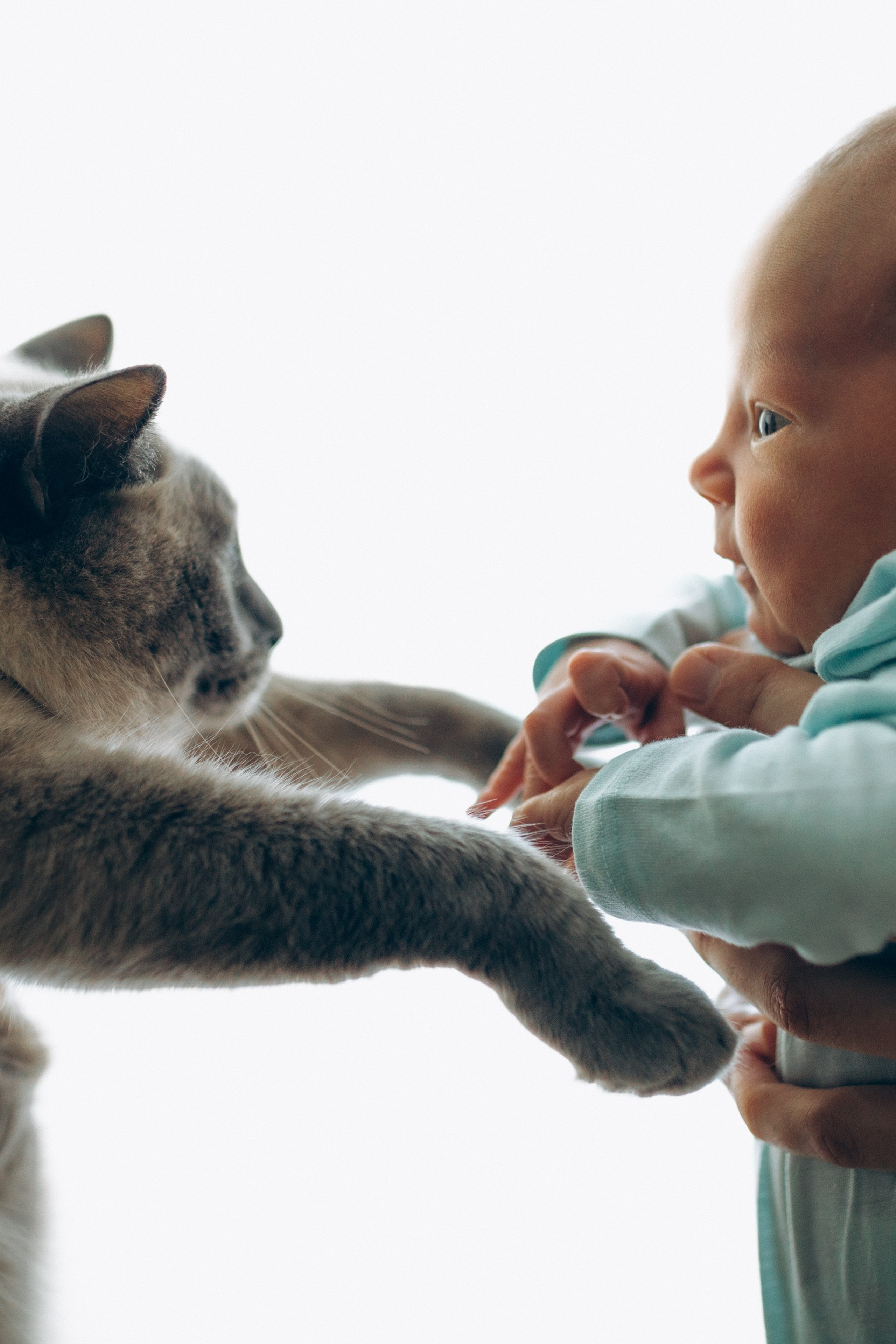 Newborn. Семейный фотограф и фотограф на роды в Ростове-на-Дону Мухина Виктория
