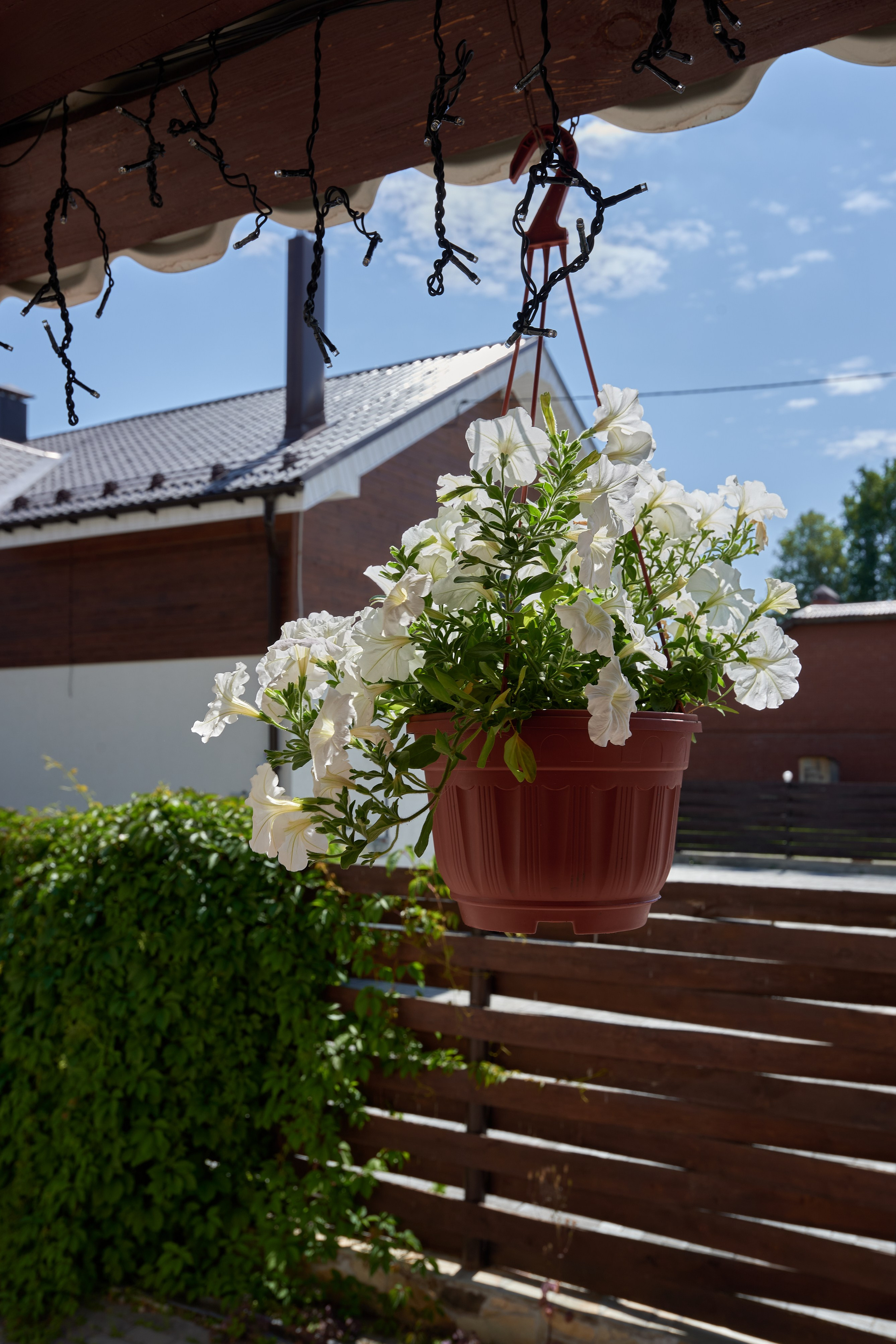 Гостиница, Альпин Шале, Абзаково