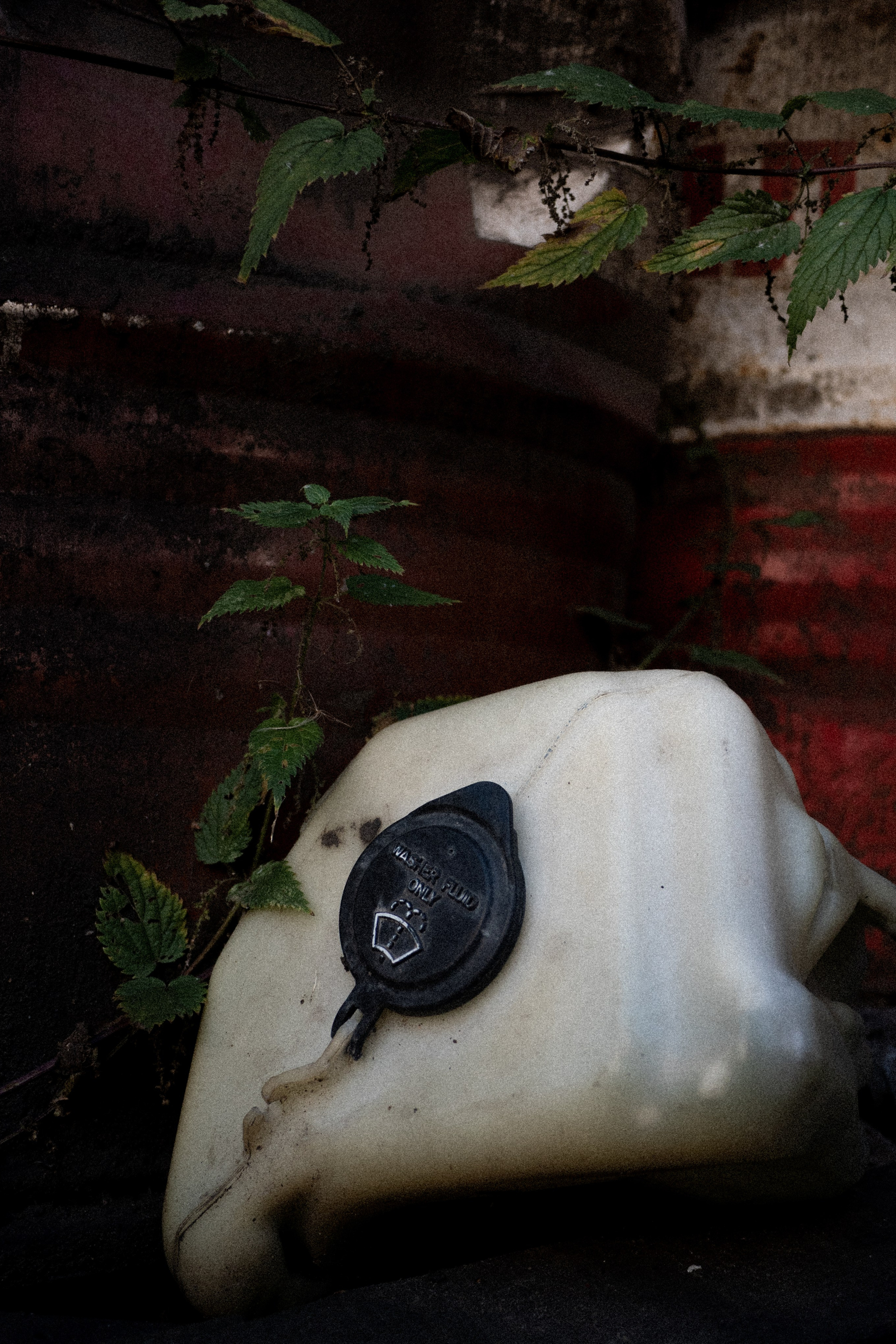 Stories. Mark Zarya — Casual Photography