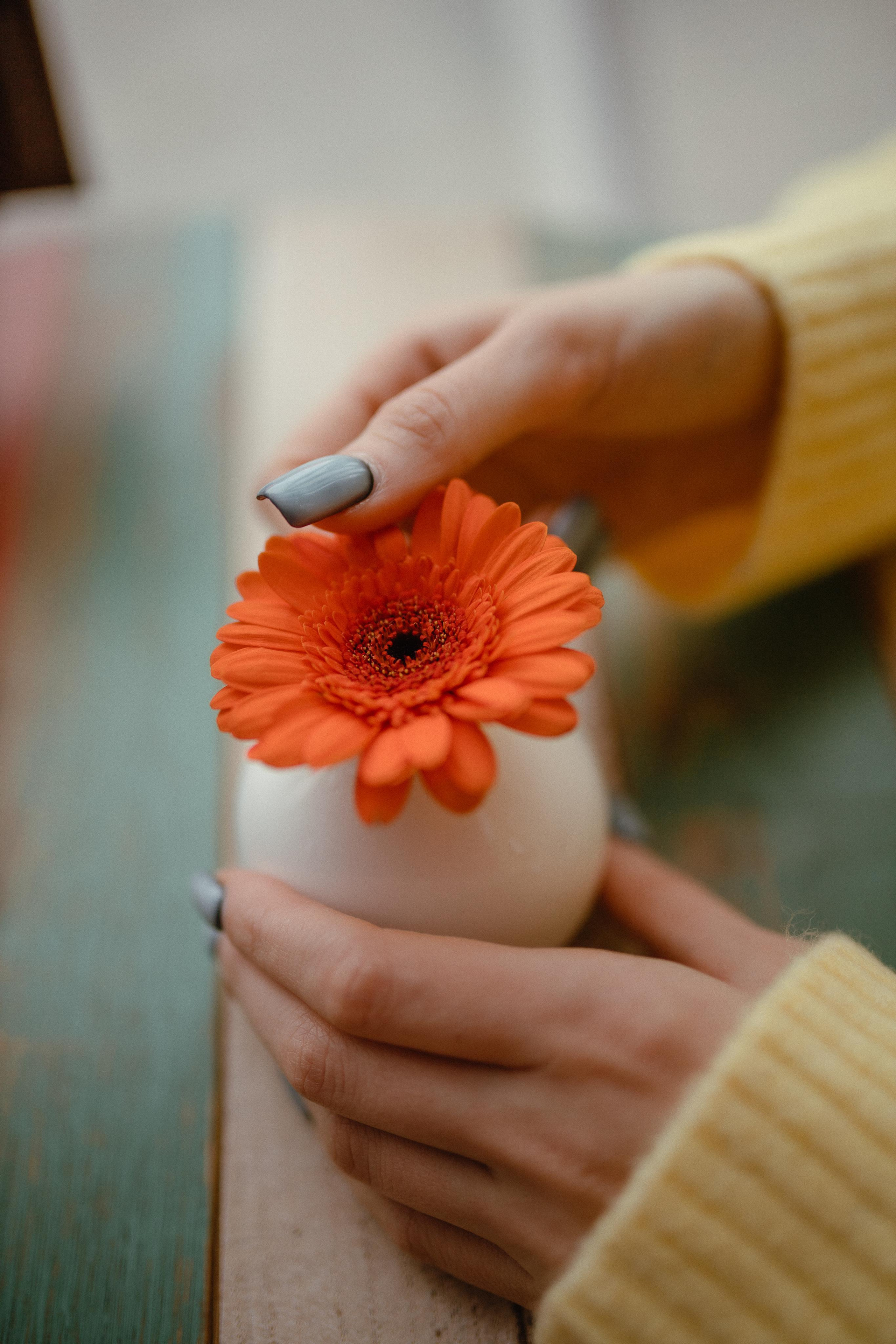 Feedback. Photographer Viki Dejavu