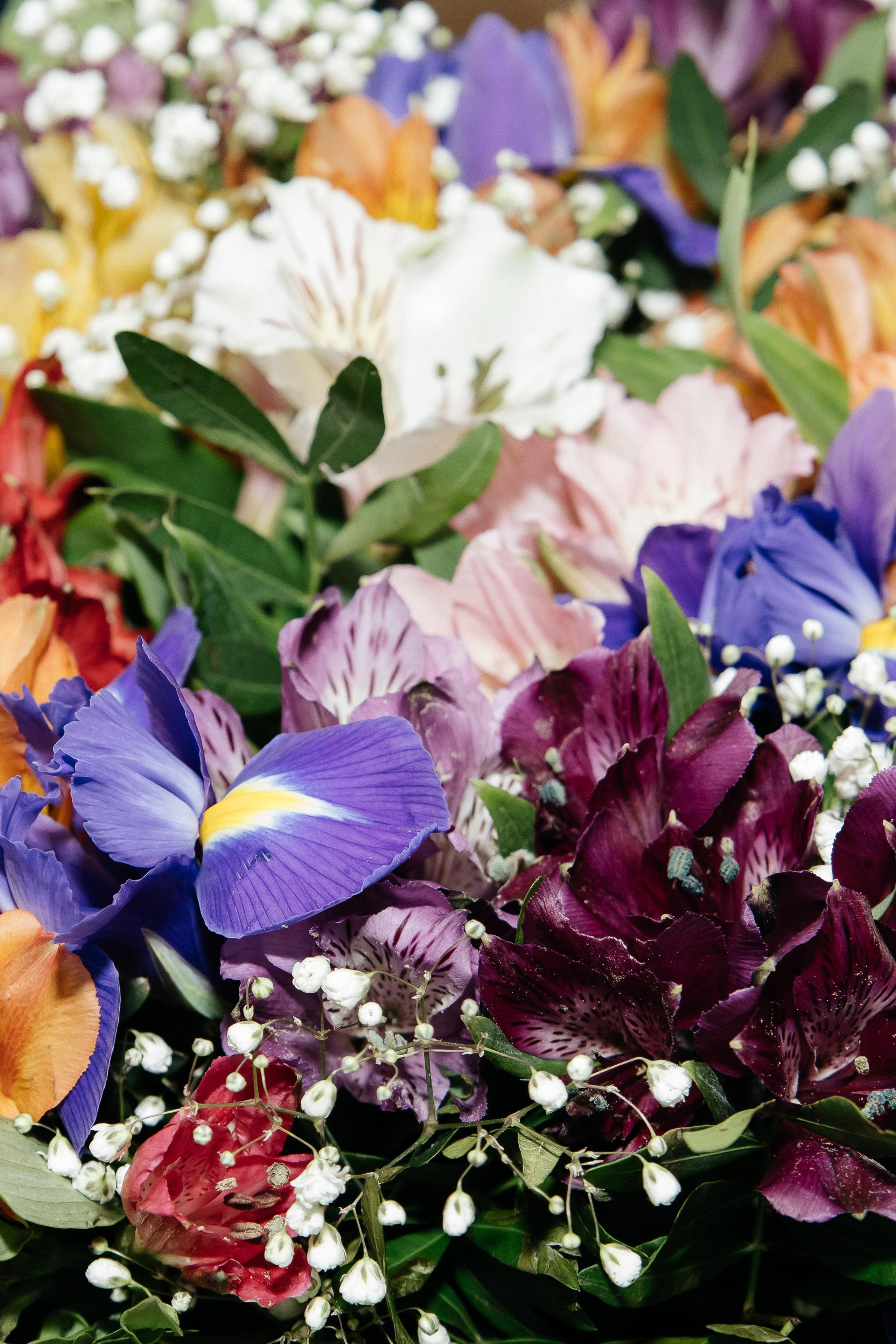 Feedback. Photographer Viki Dejavu