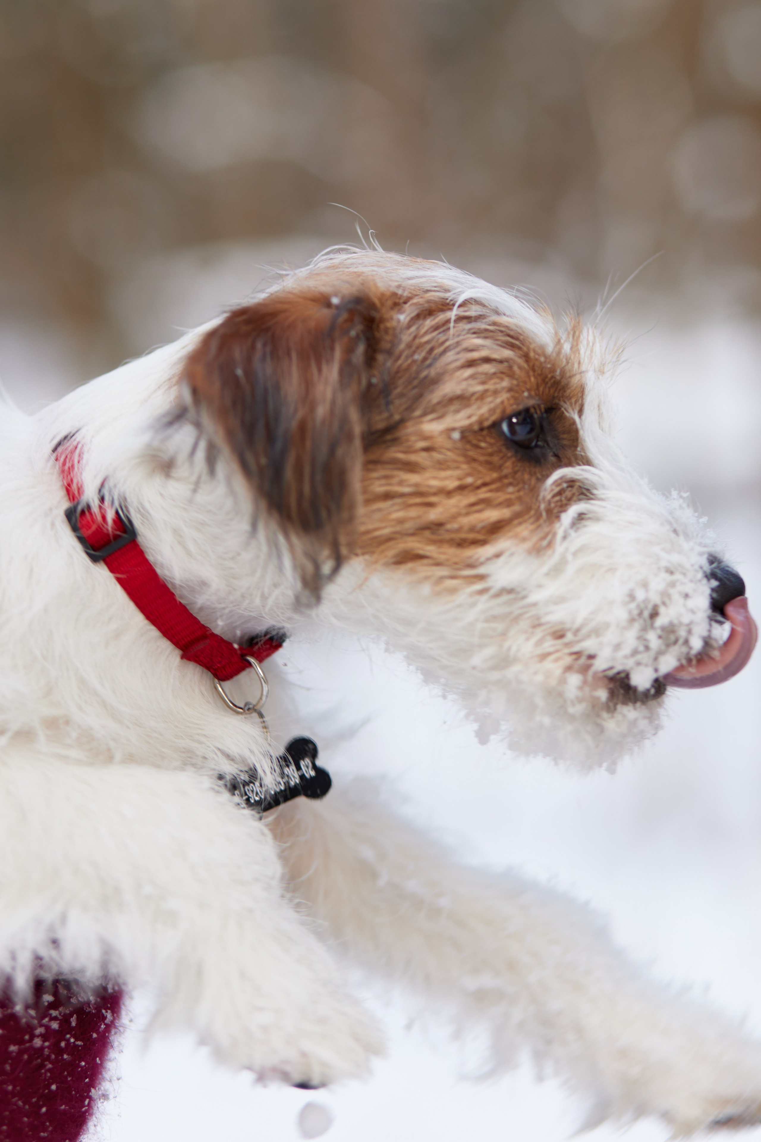 Feedback. Photographer Viki Dejavu