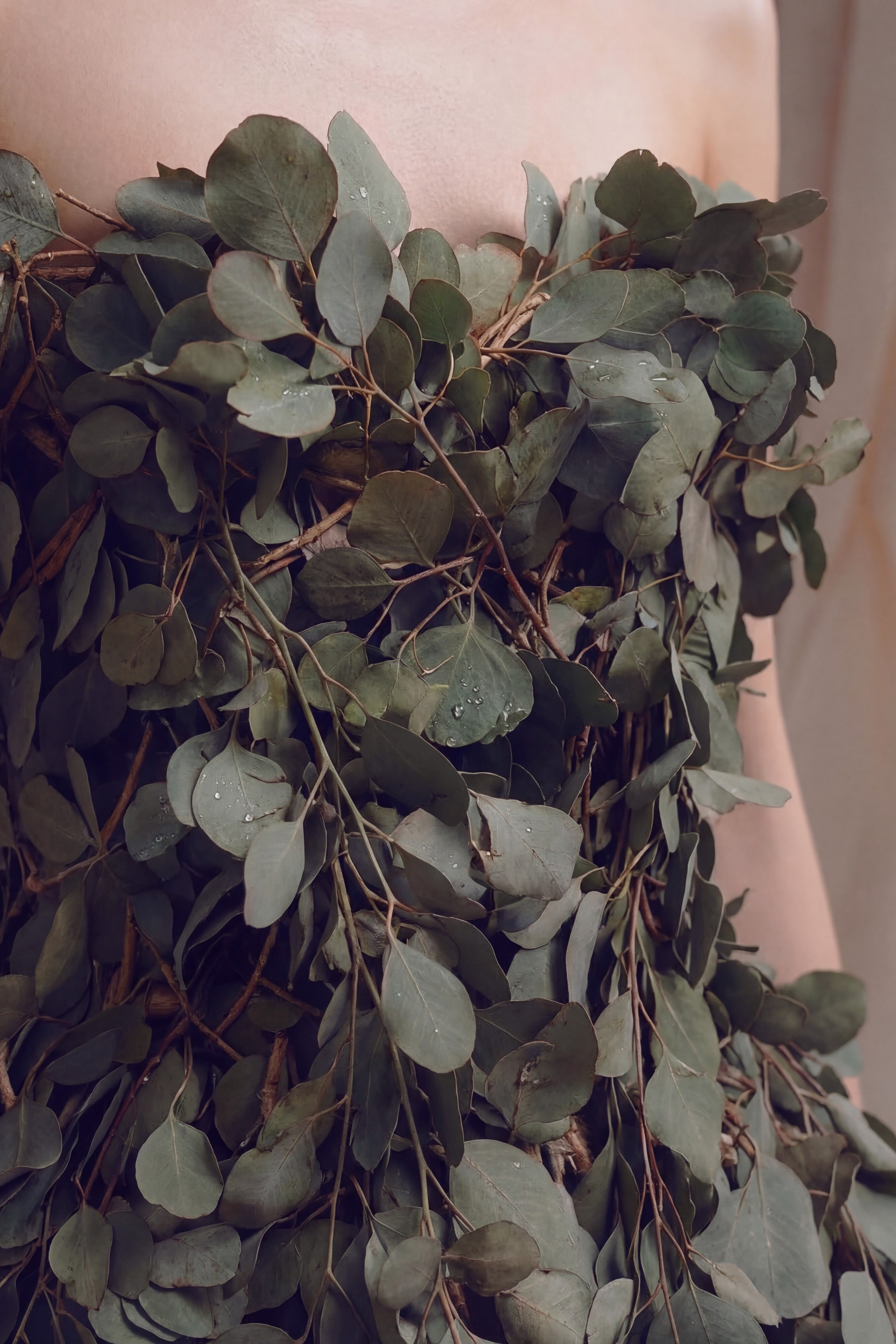 Protea. Ekaterina, AI Visual Director
