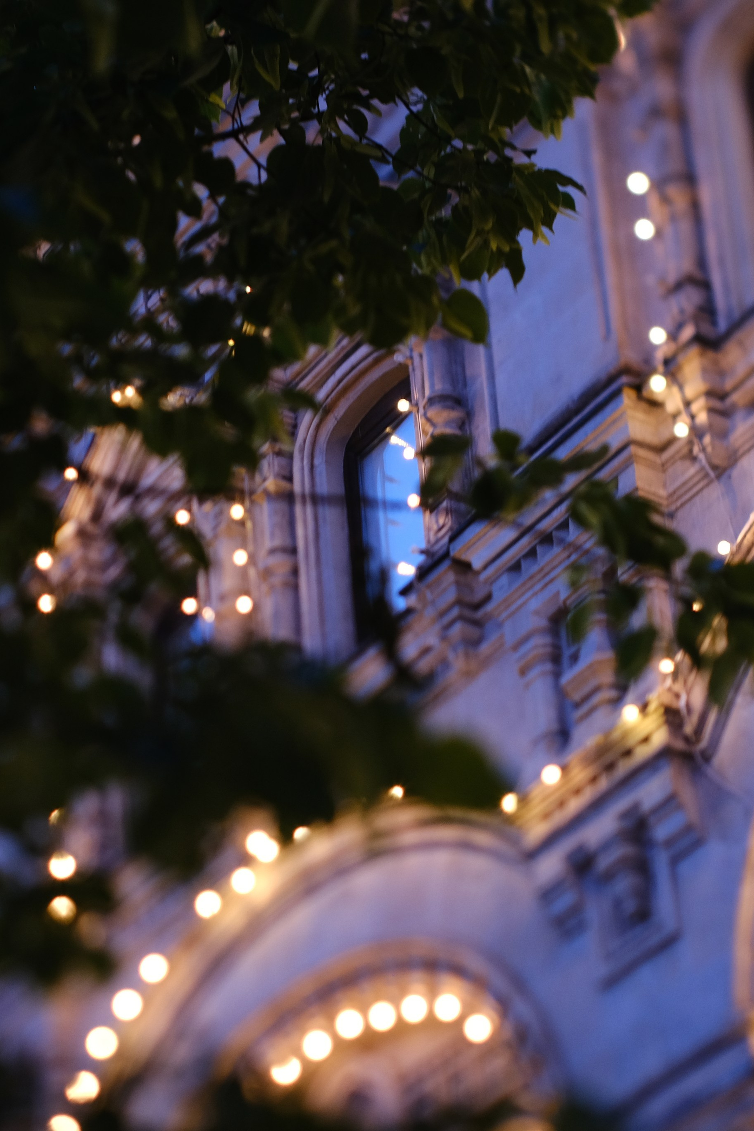 Художественные фото