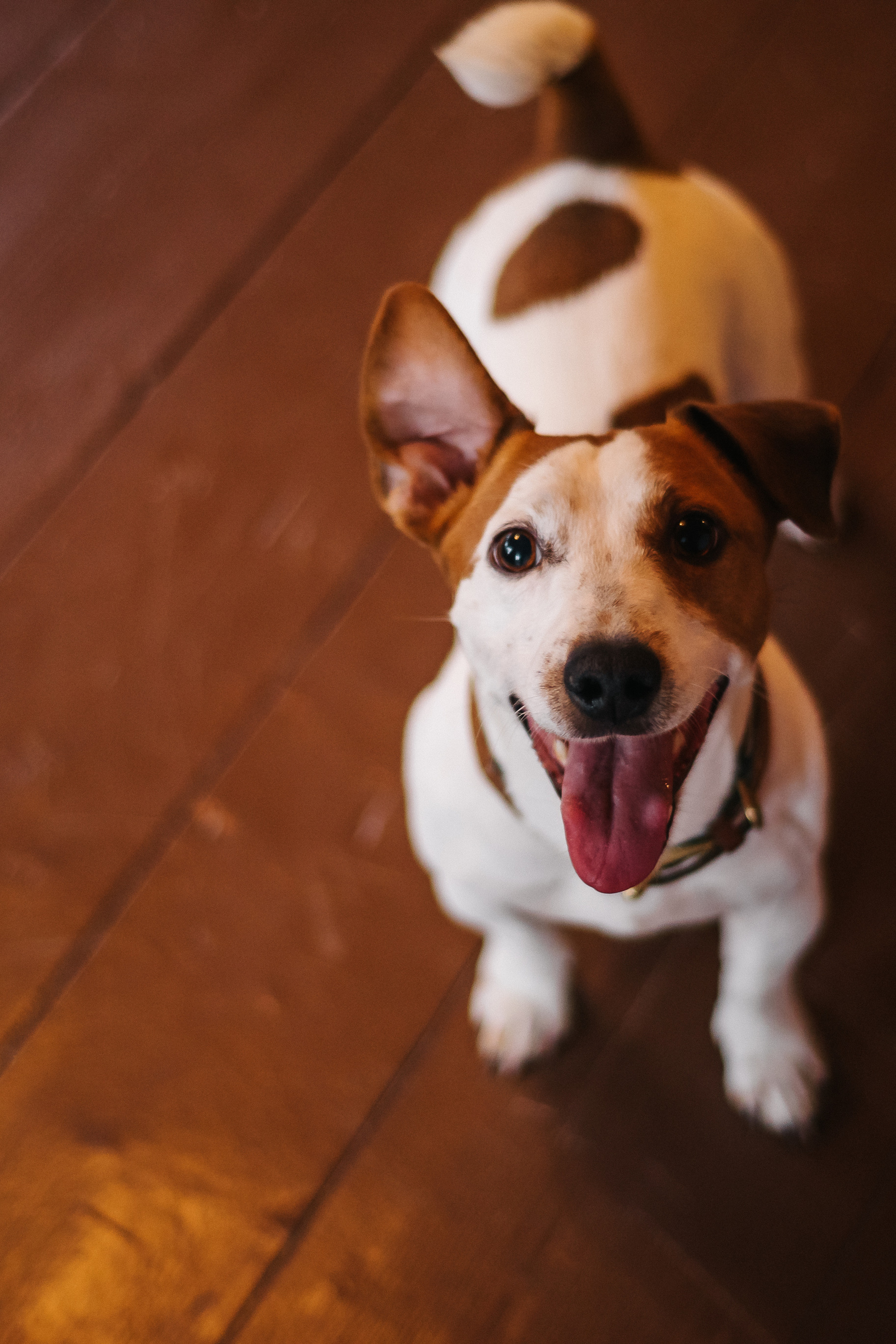 Истории. Фотограф Светлана Киселева