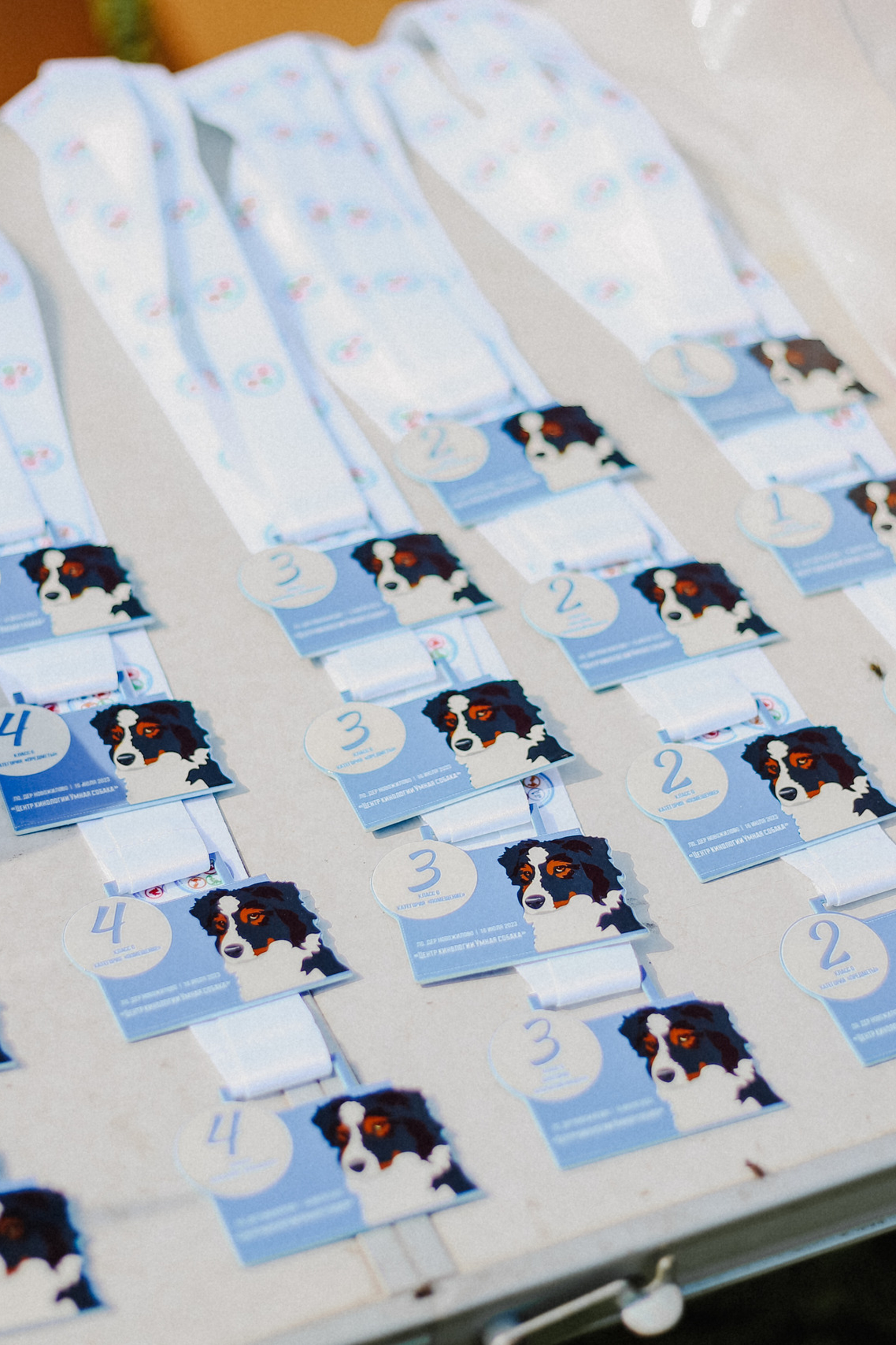 Отзывы. Фотограф- анималист Санкт-Петербург