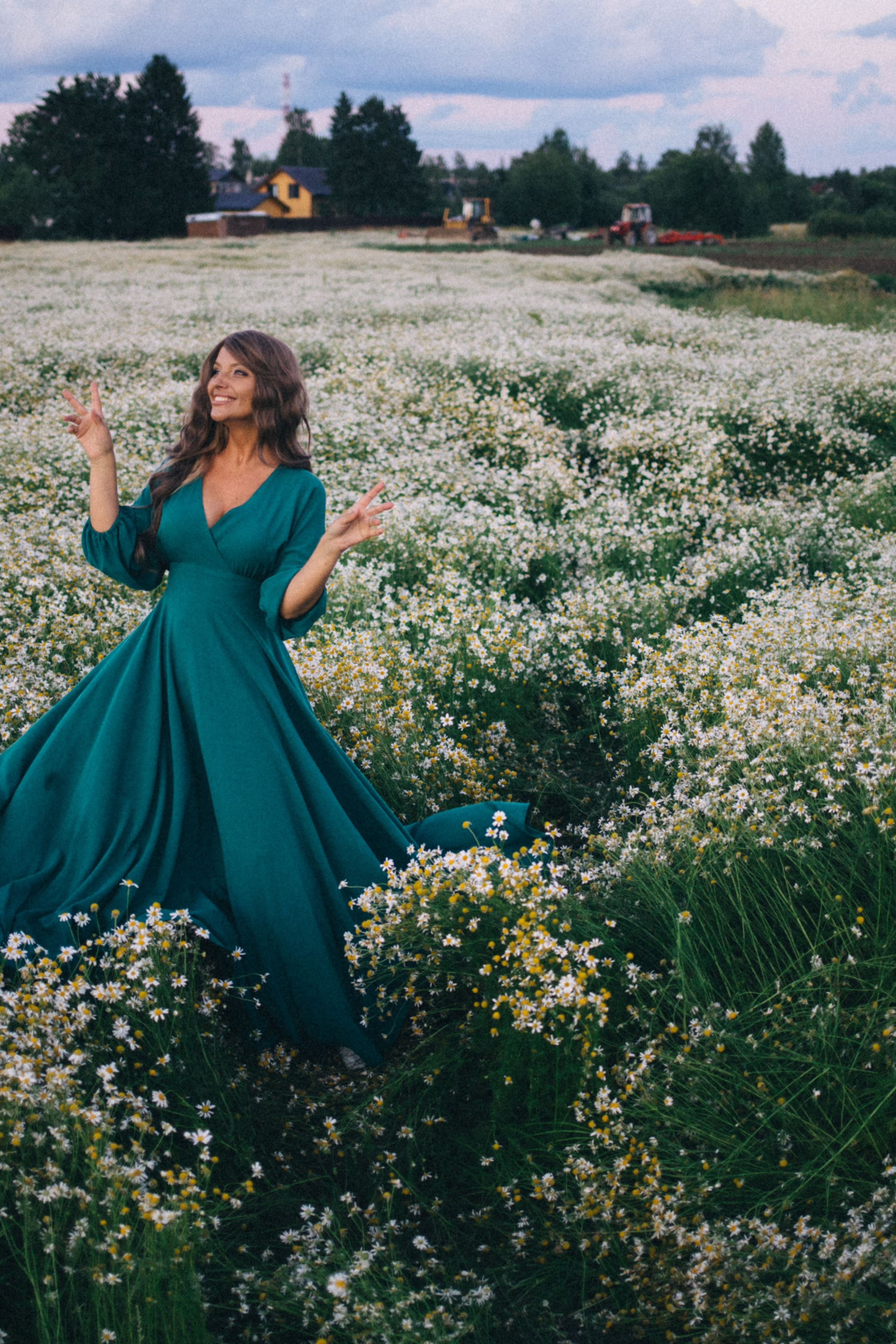 Chamomile fields 2024