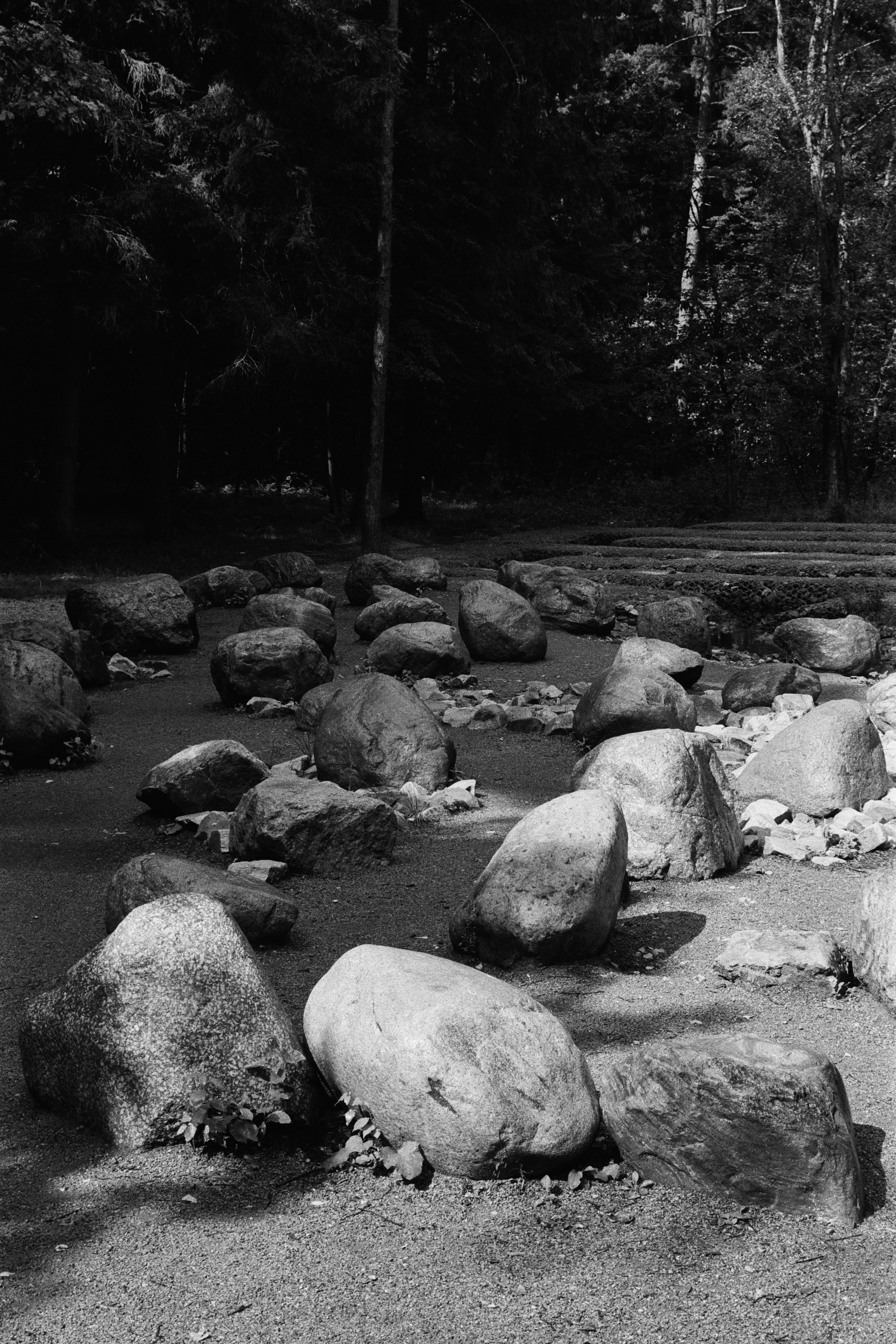 A series of photographs. Another person Pavel Potseluev. A photographer in 2025