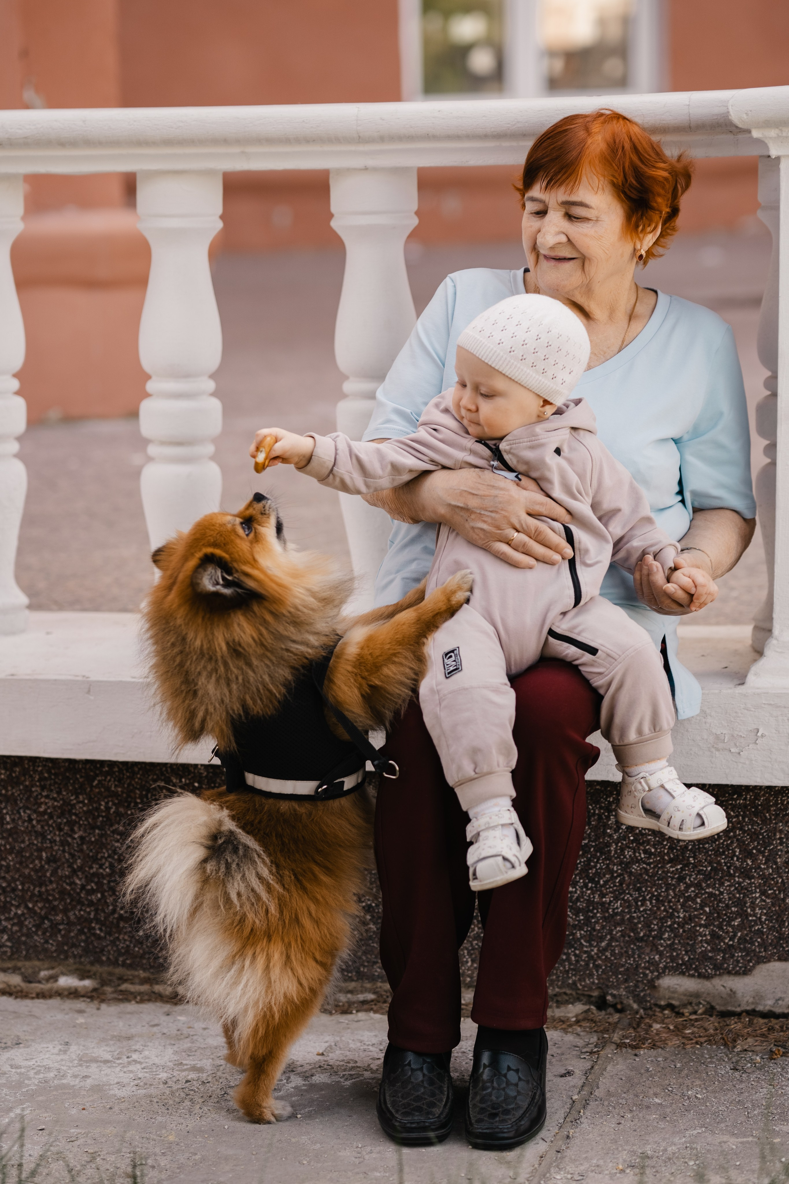 Большие семьи