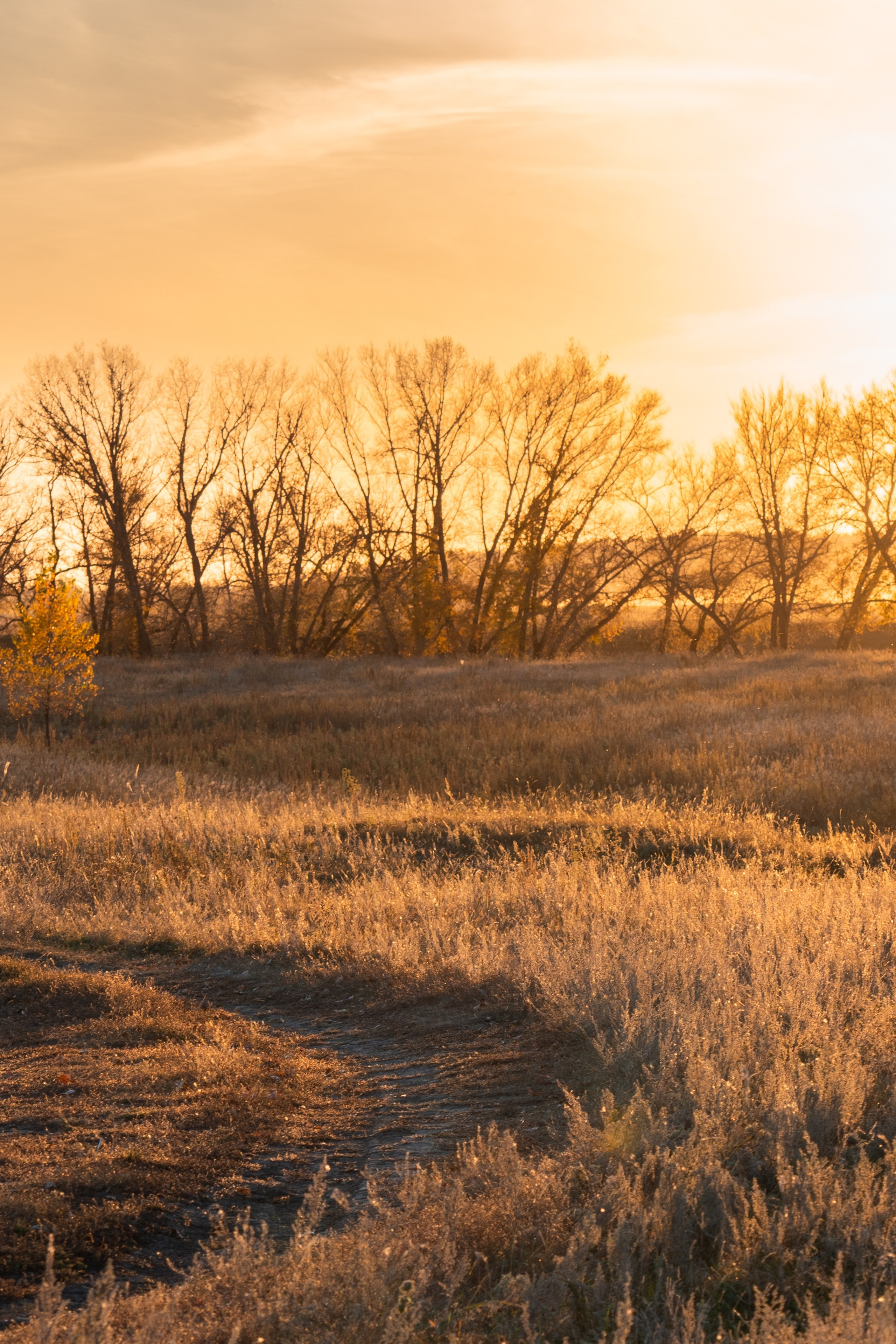 Курганская область