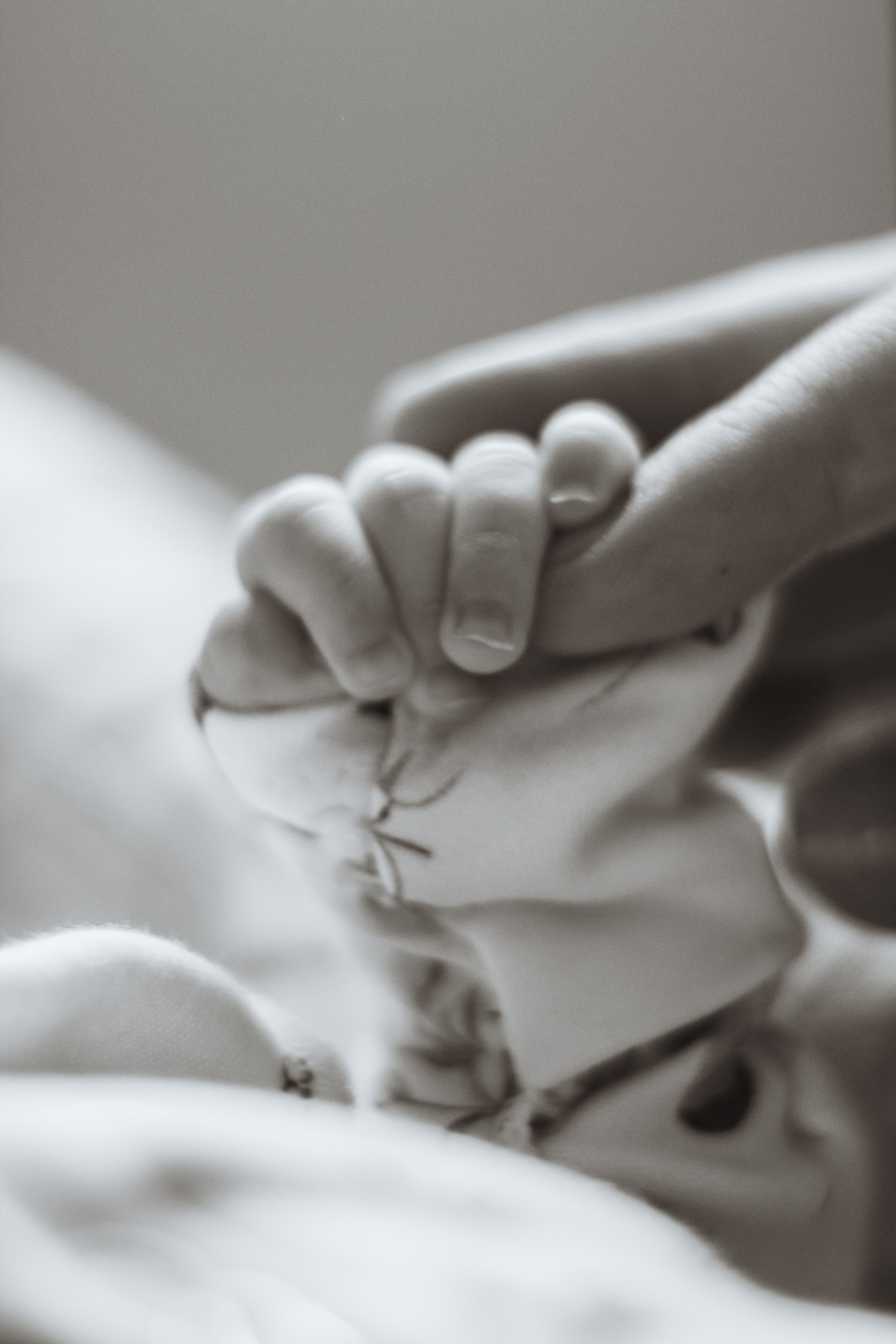 Фотограф Майкоп Белореченск Малина Михаил. Фотограф в Адыгее и Белореченске — Малина Михаил