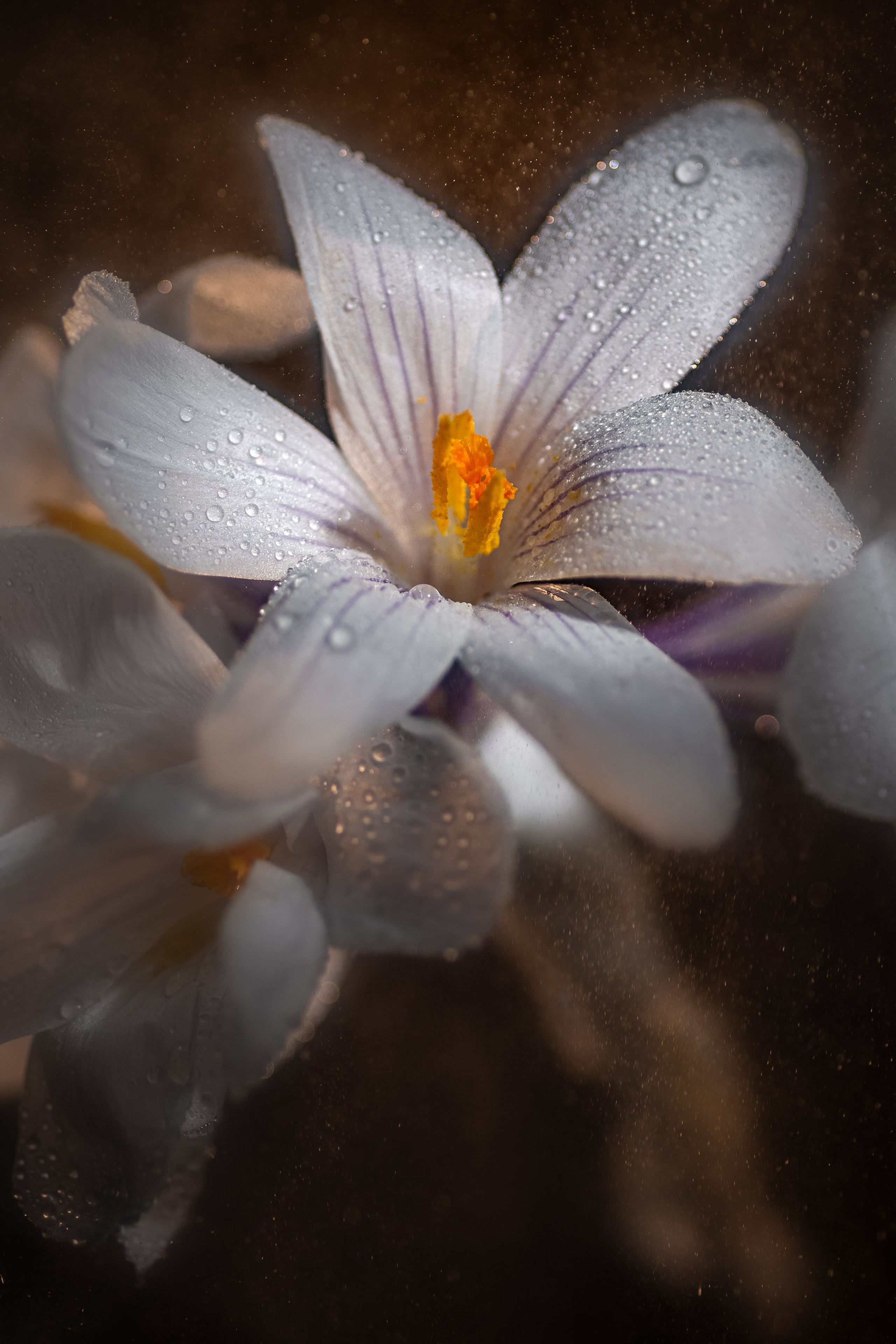 ВАМ ПОДАРОК!