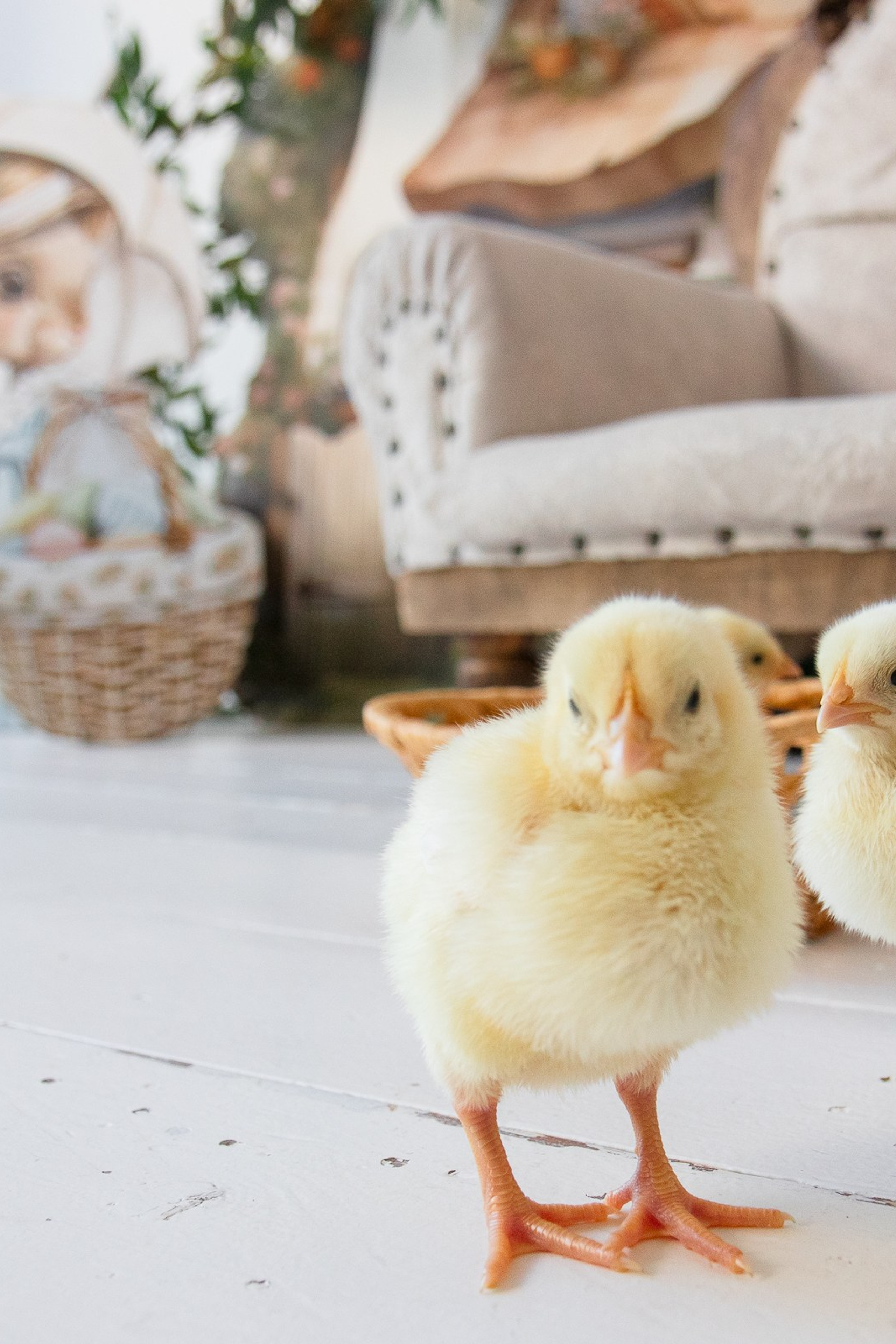 Ирина. Семейный и школьный фотограф в Тюмени Елена Бузиновская