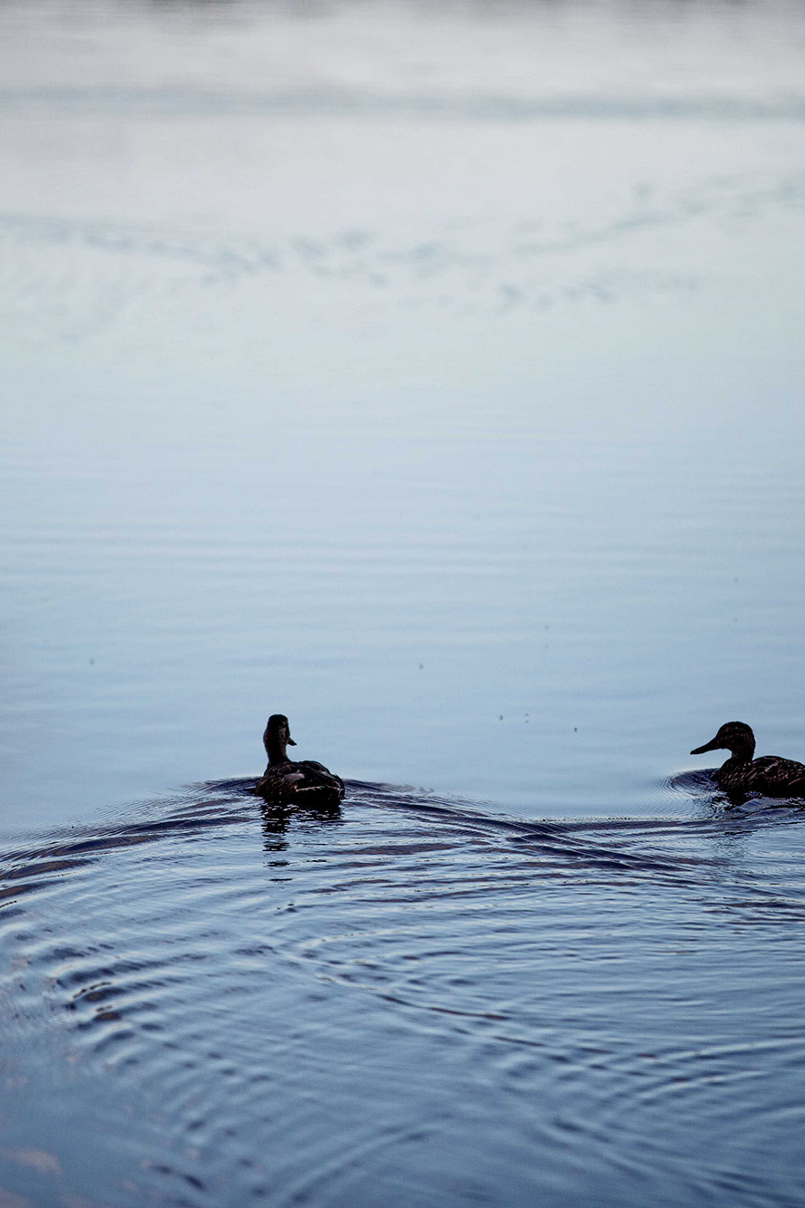Lovestory_Kirill & Nastya
