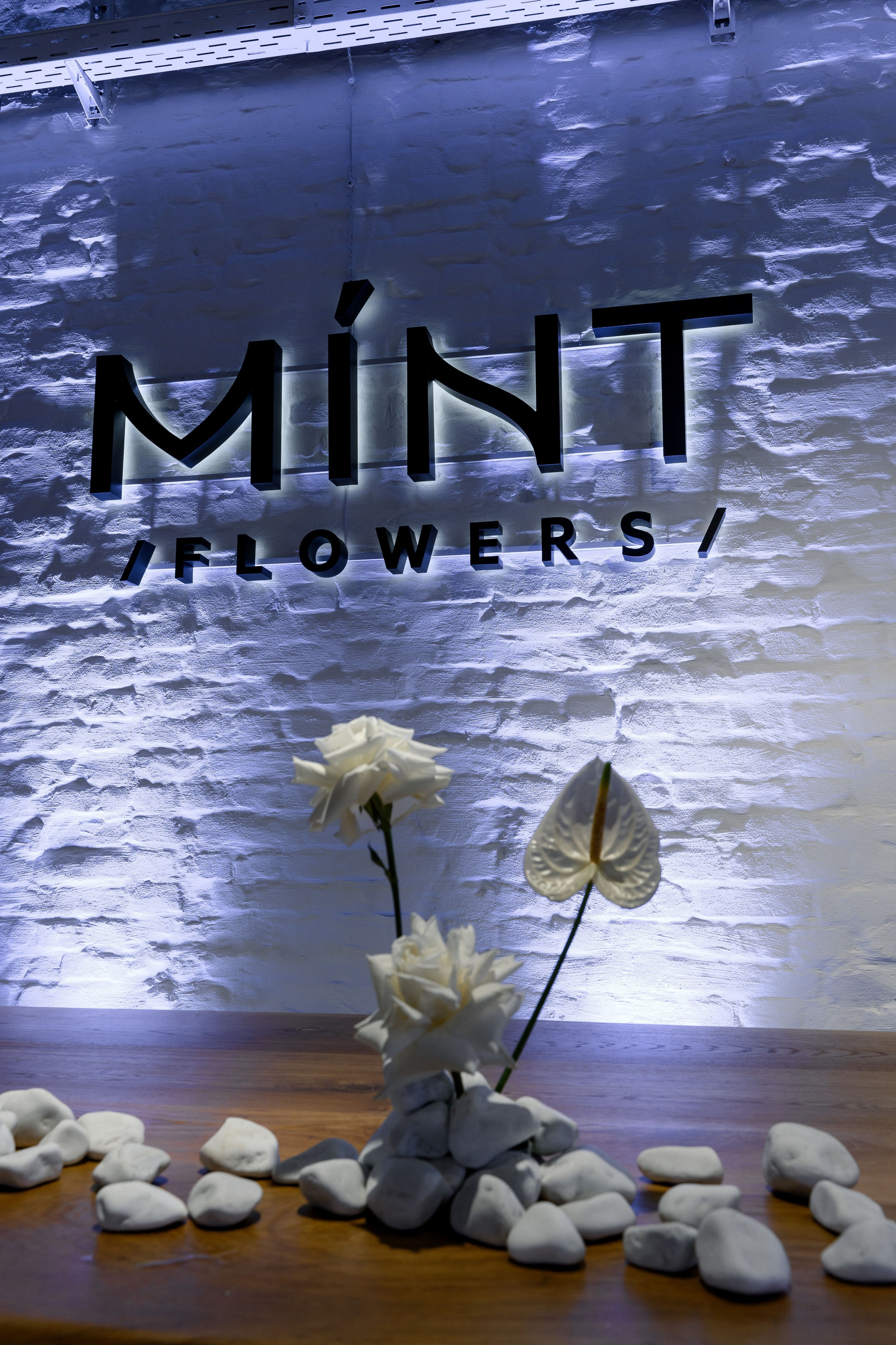 MINT FLOWERS