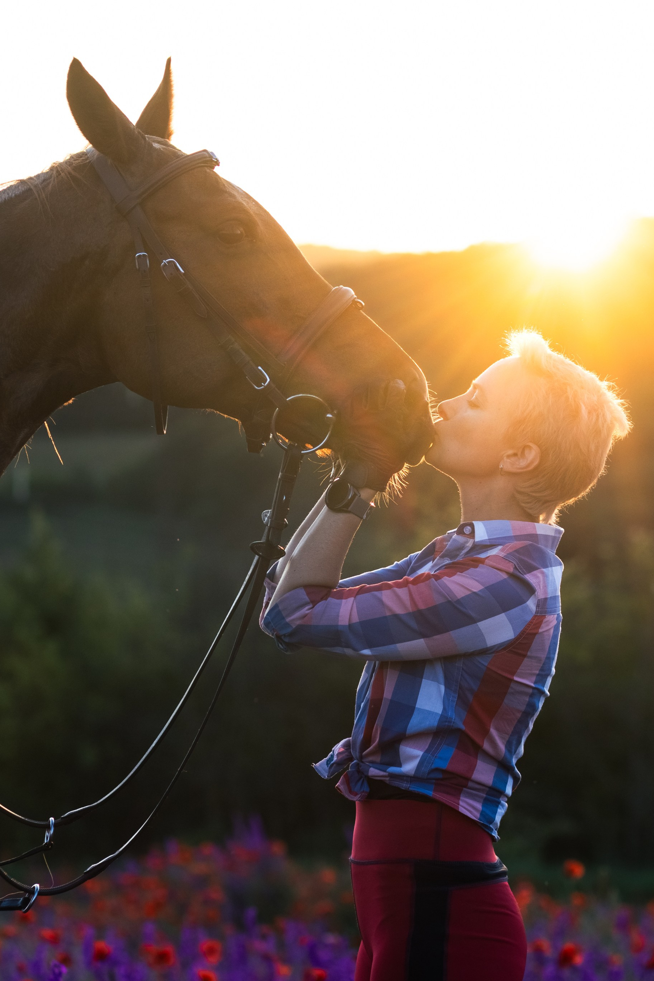 Фотосессии с&nbsp;лошадьми