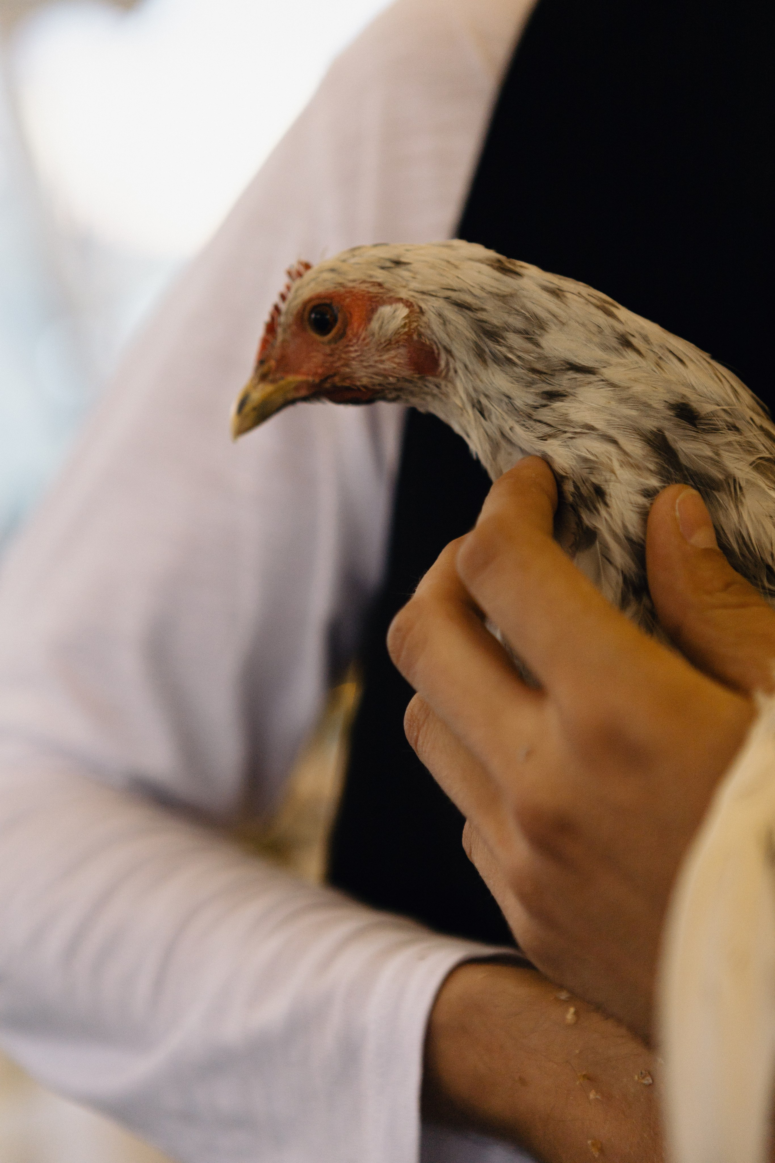 Екатерина и Родион