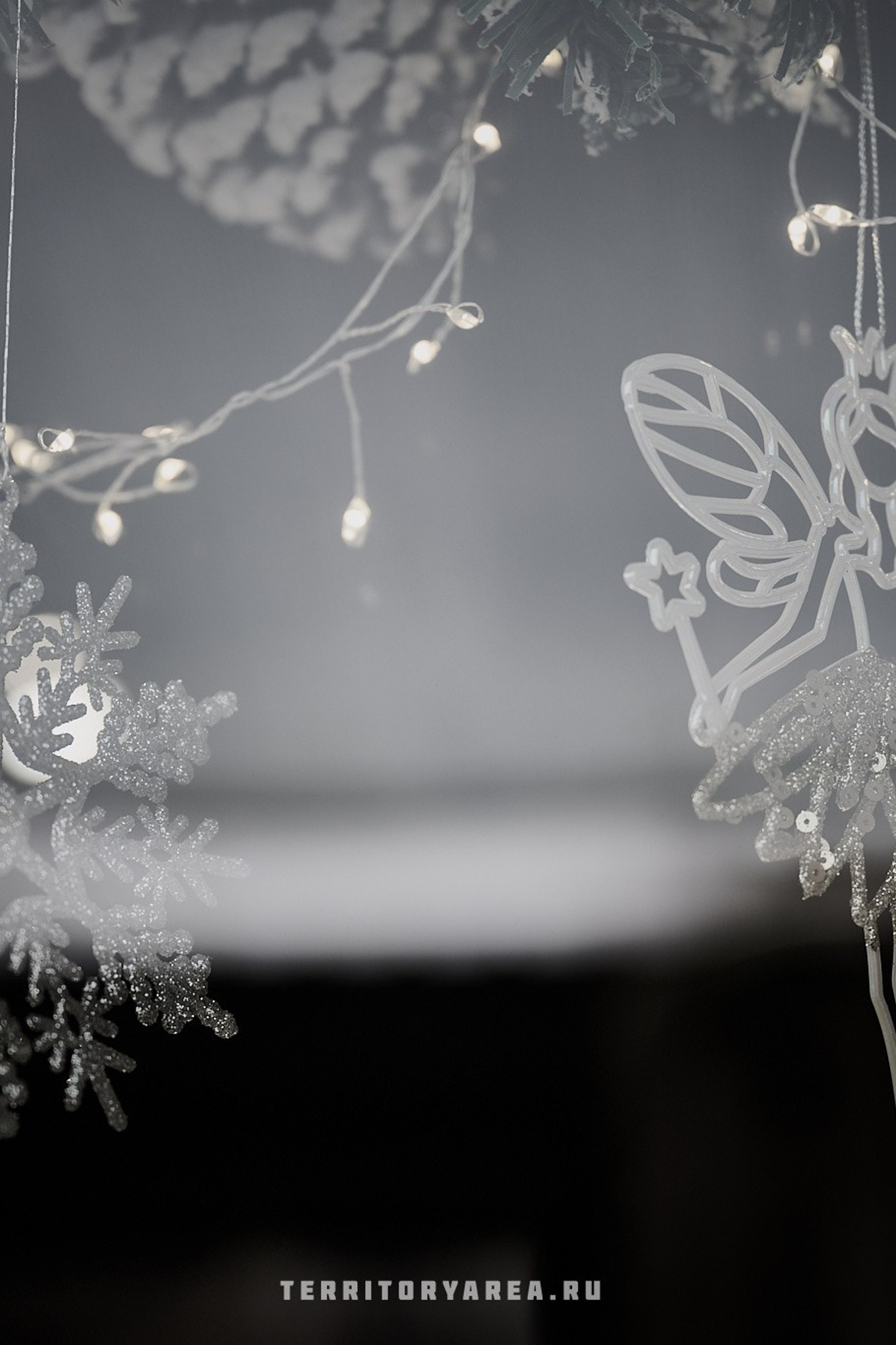 Истории. Фотопроект «Территории»