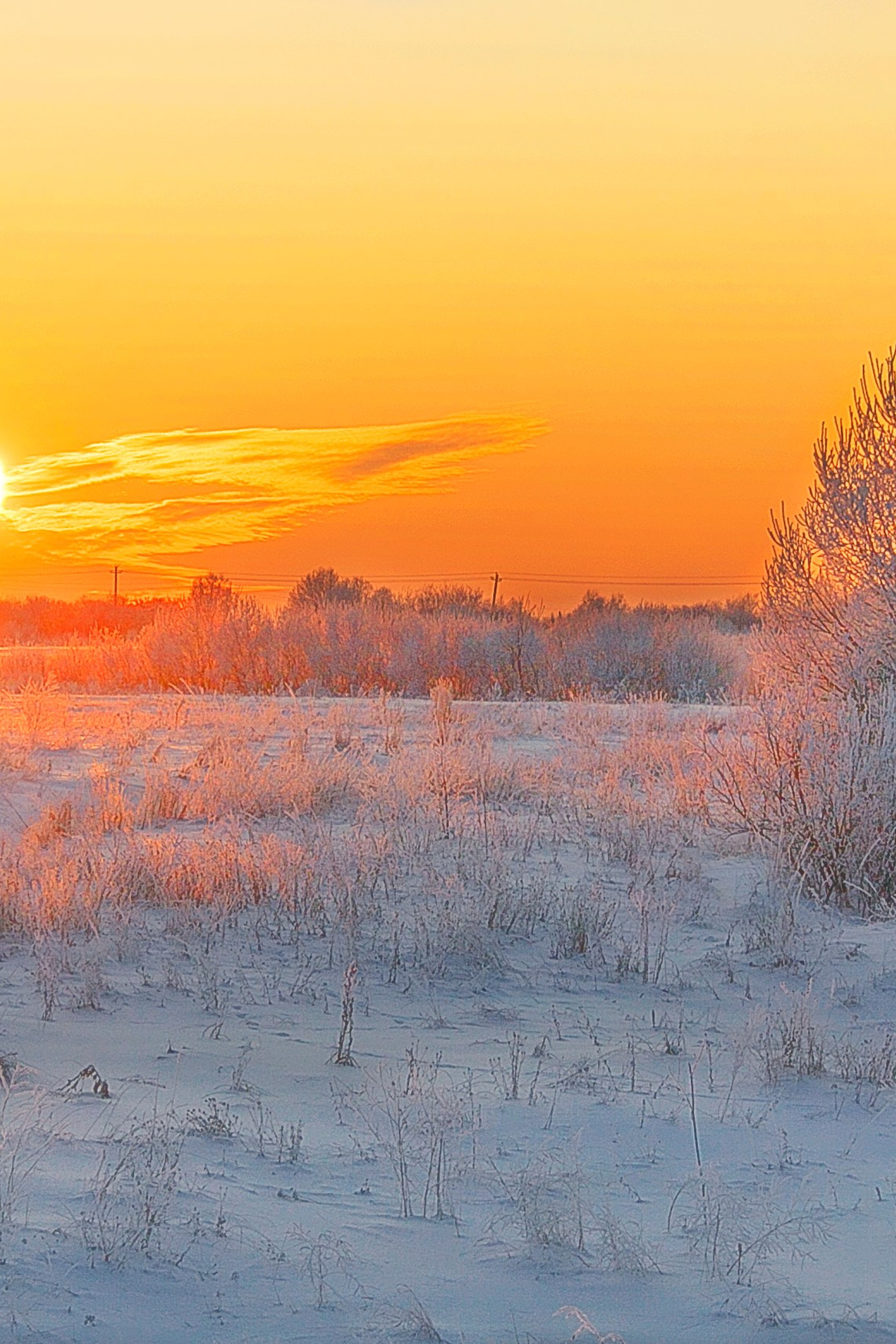 Фотопроект «Зима продолжается»