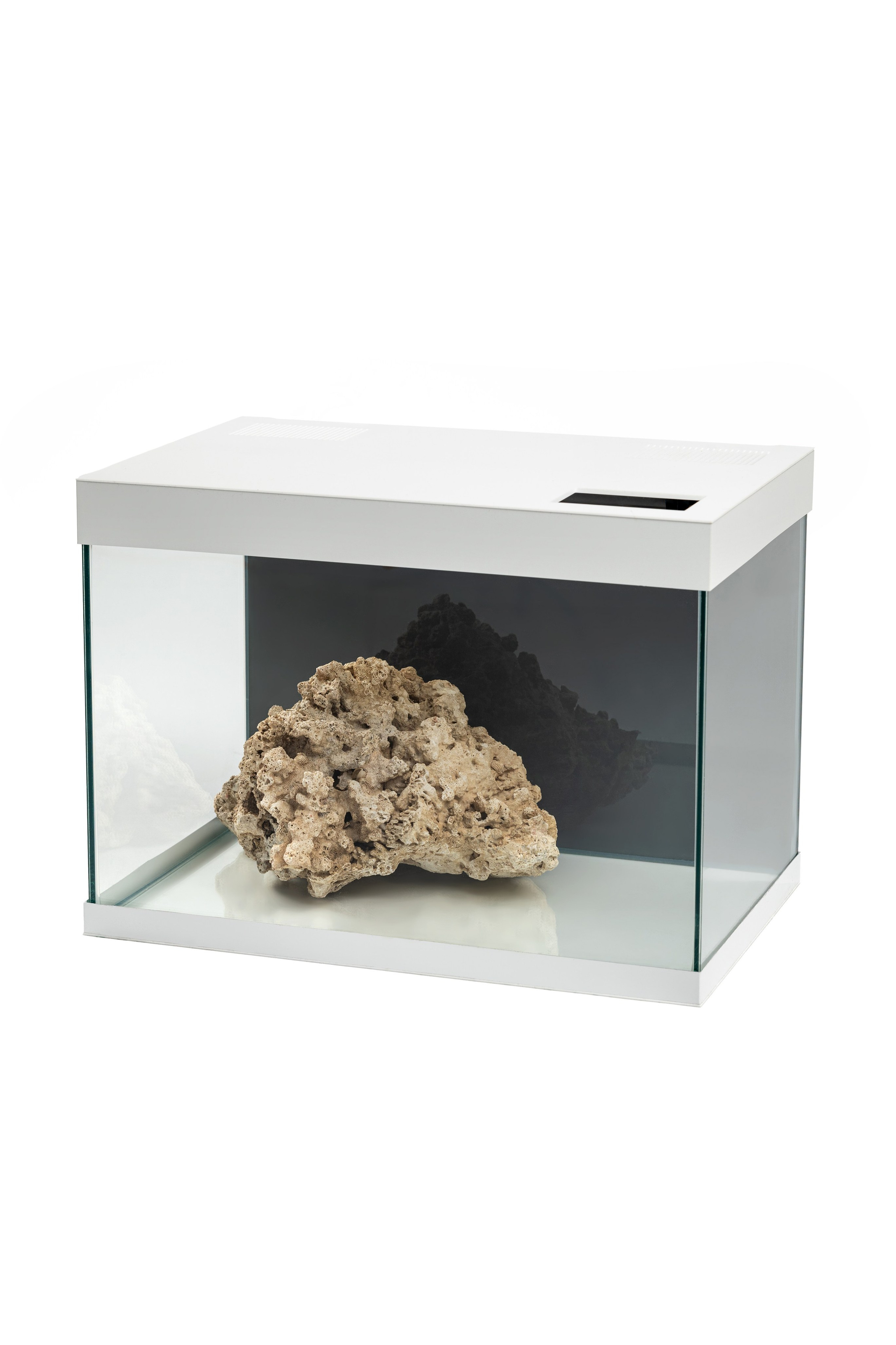 АКВАРИУМЫ И РАСТЕНИЯ