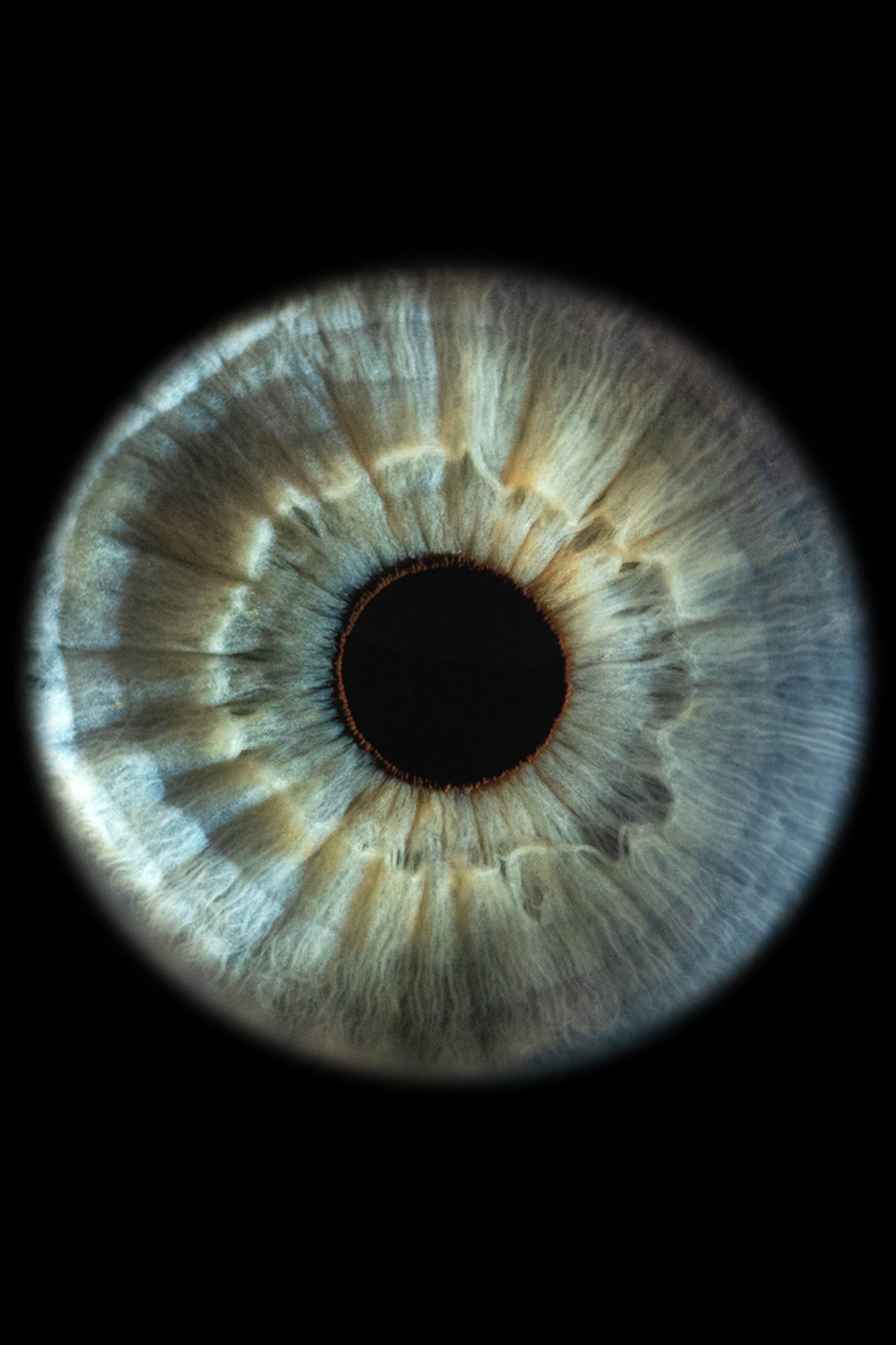 Ojo NEWS. Фотостудия макросъёмки радужки глаз в Севастополе «Ojo art»