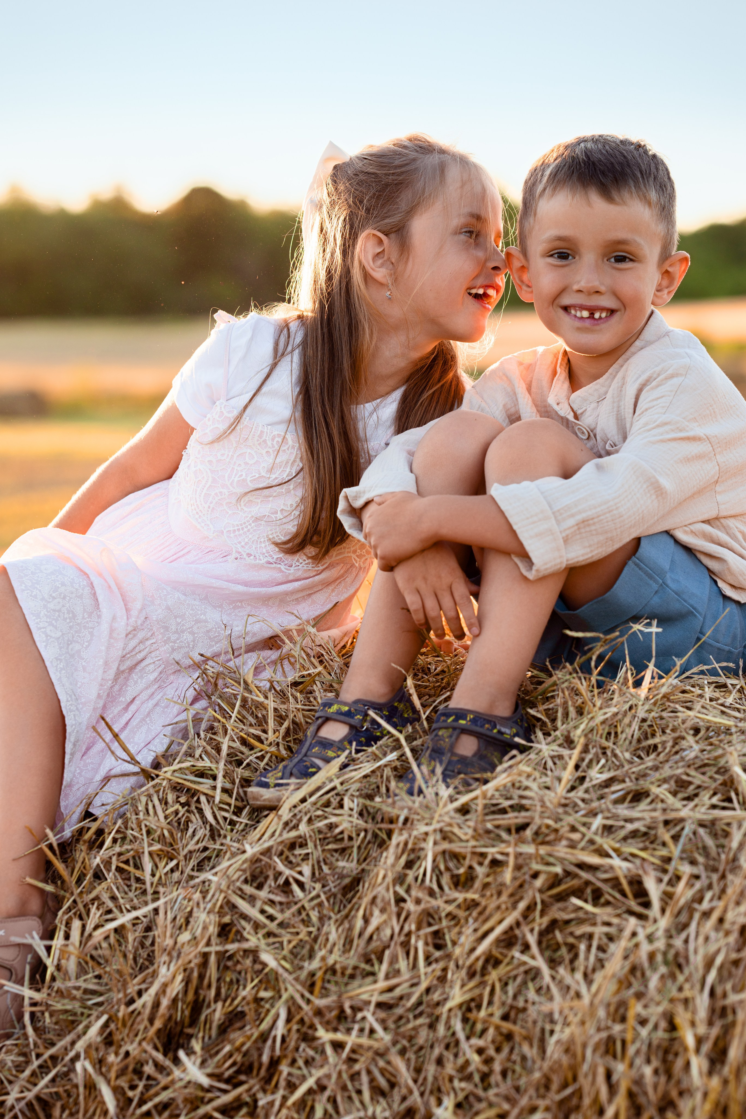 Утиная история